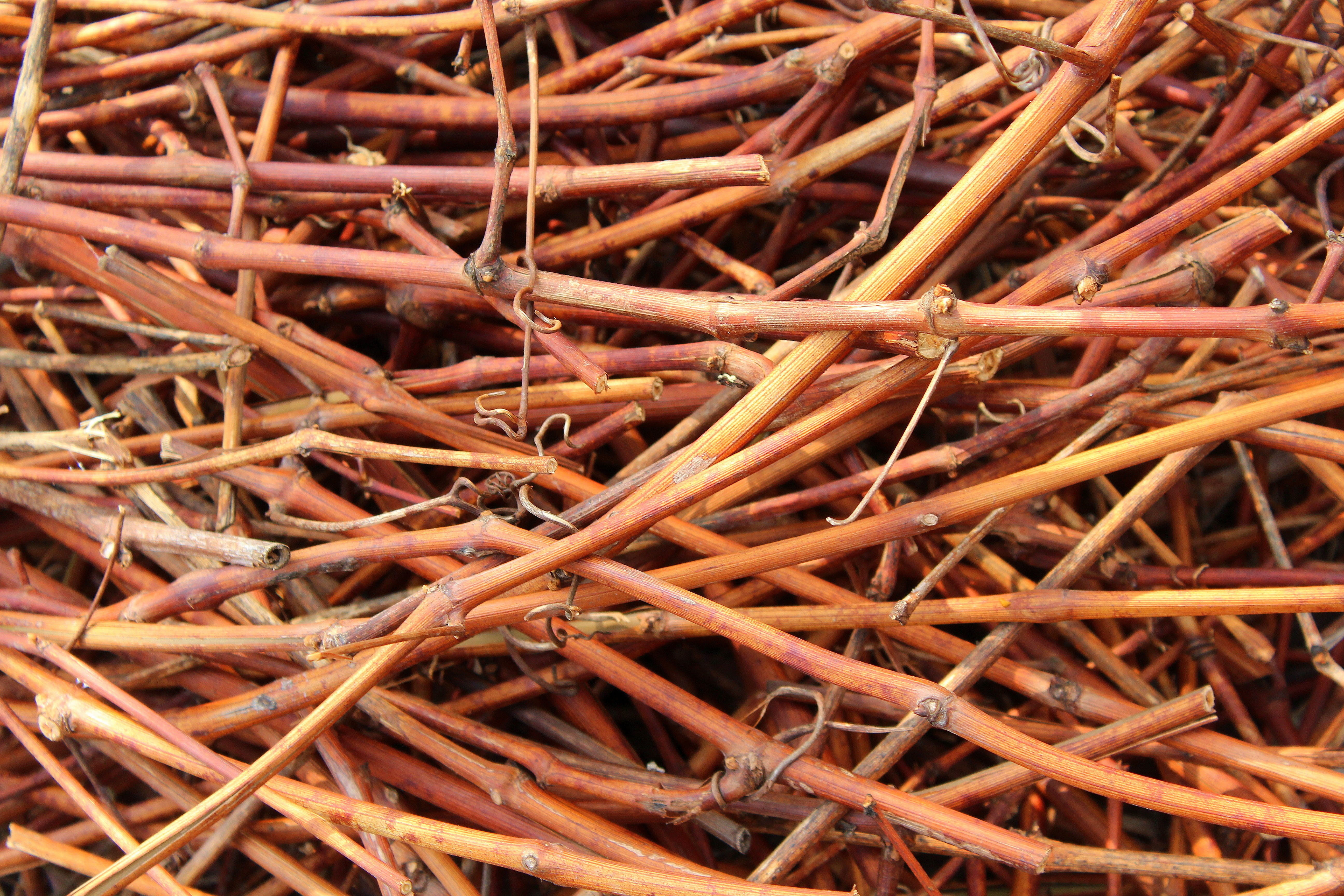 day, plant, pattern, sticks, full frame, brown, invoice, texture, stack, no people, abundance, red, high angle view, selective focus, model, dry, stick - plant part, HD Wallpaper