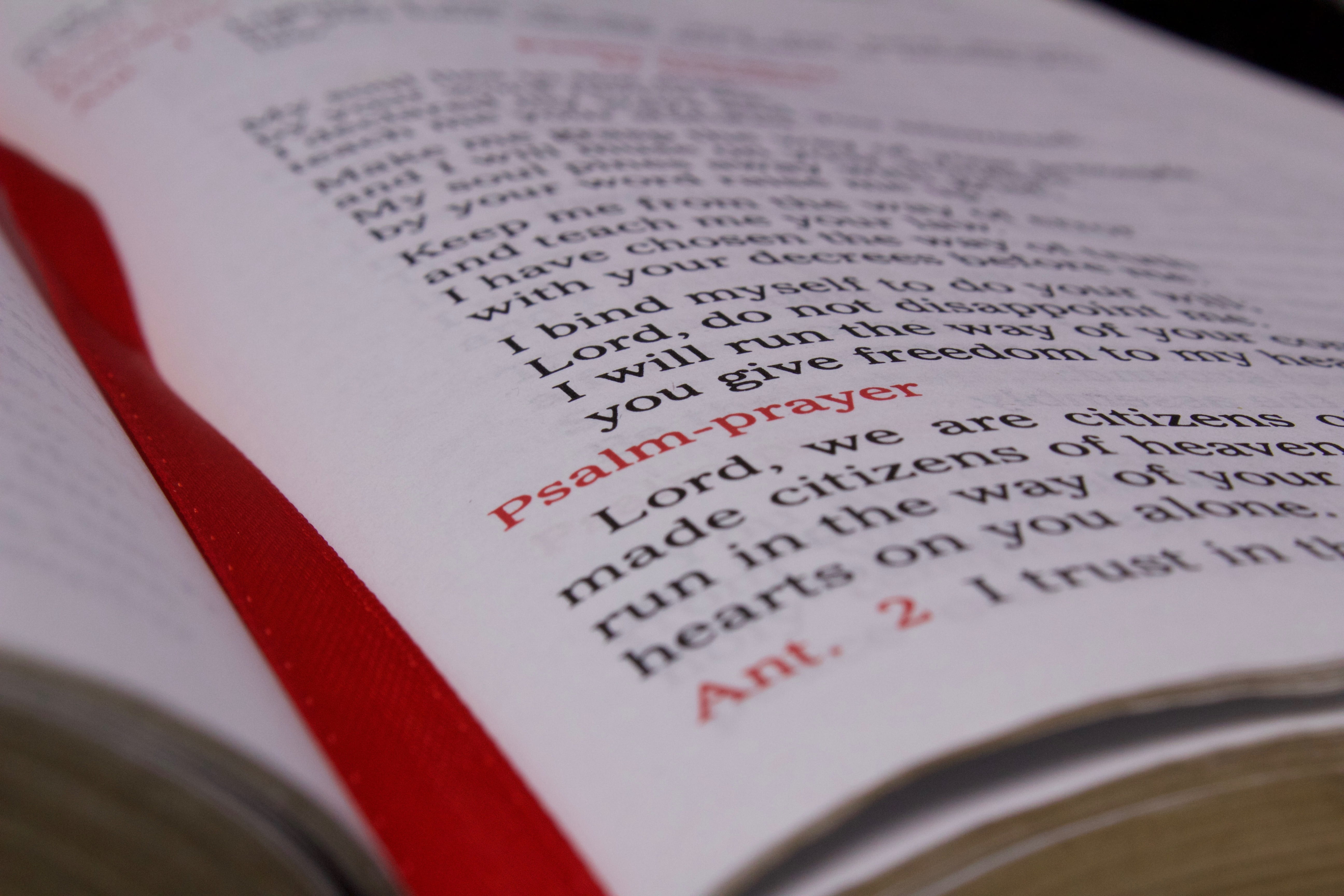 business finance and industry, prayer, scripture, 5K, education, close-up, selective focus, list, breviary, book, western script, indoors, retail, number, HD Wallpaper