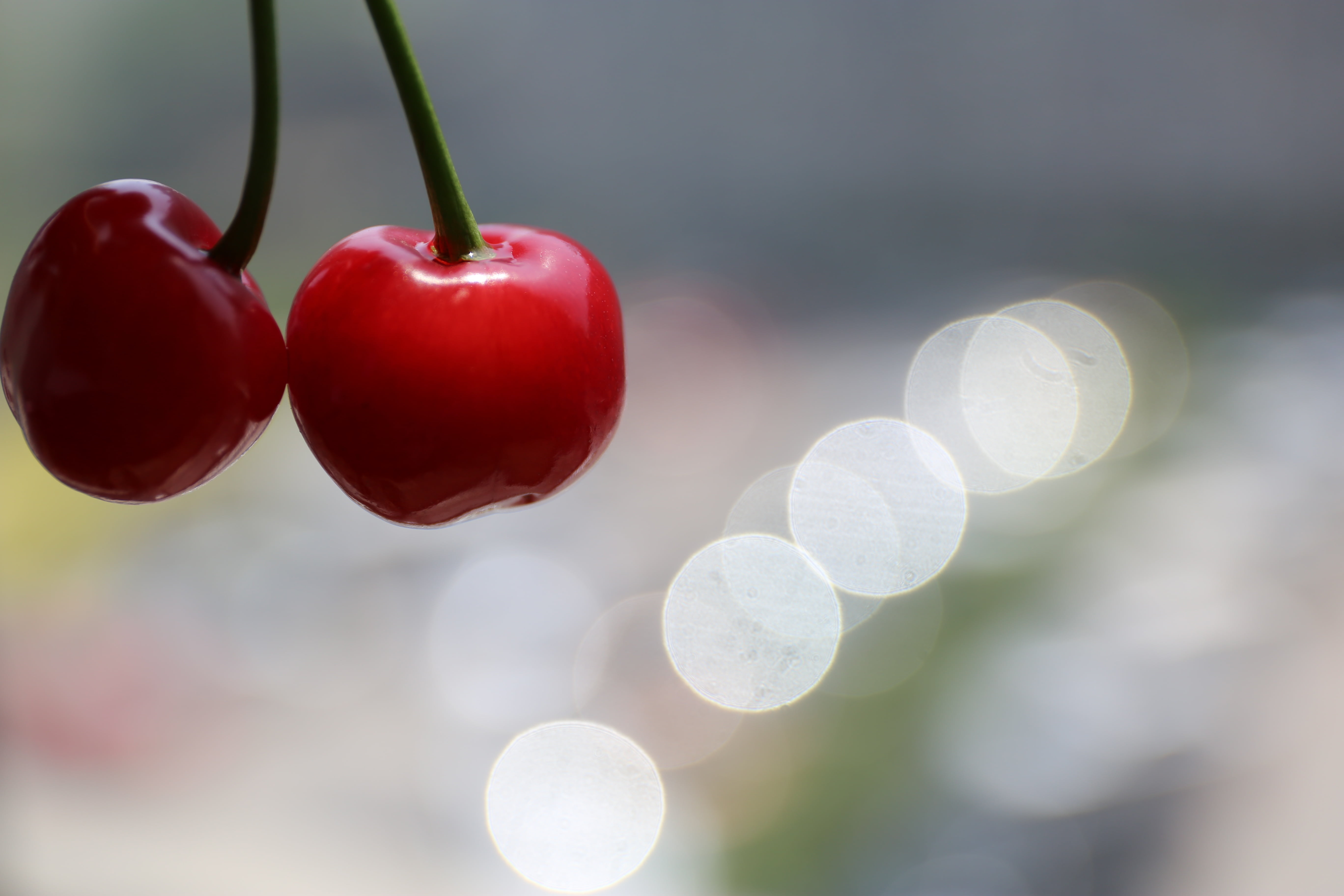 wellbeing, close-up, ripe, 5K, hanging, cherry tree, food, red, no people, lens flare, food and drink, day, growth, joy, cherry, sunlight, small group of objects, HD Wallpaper