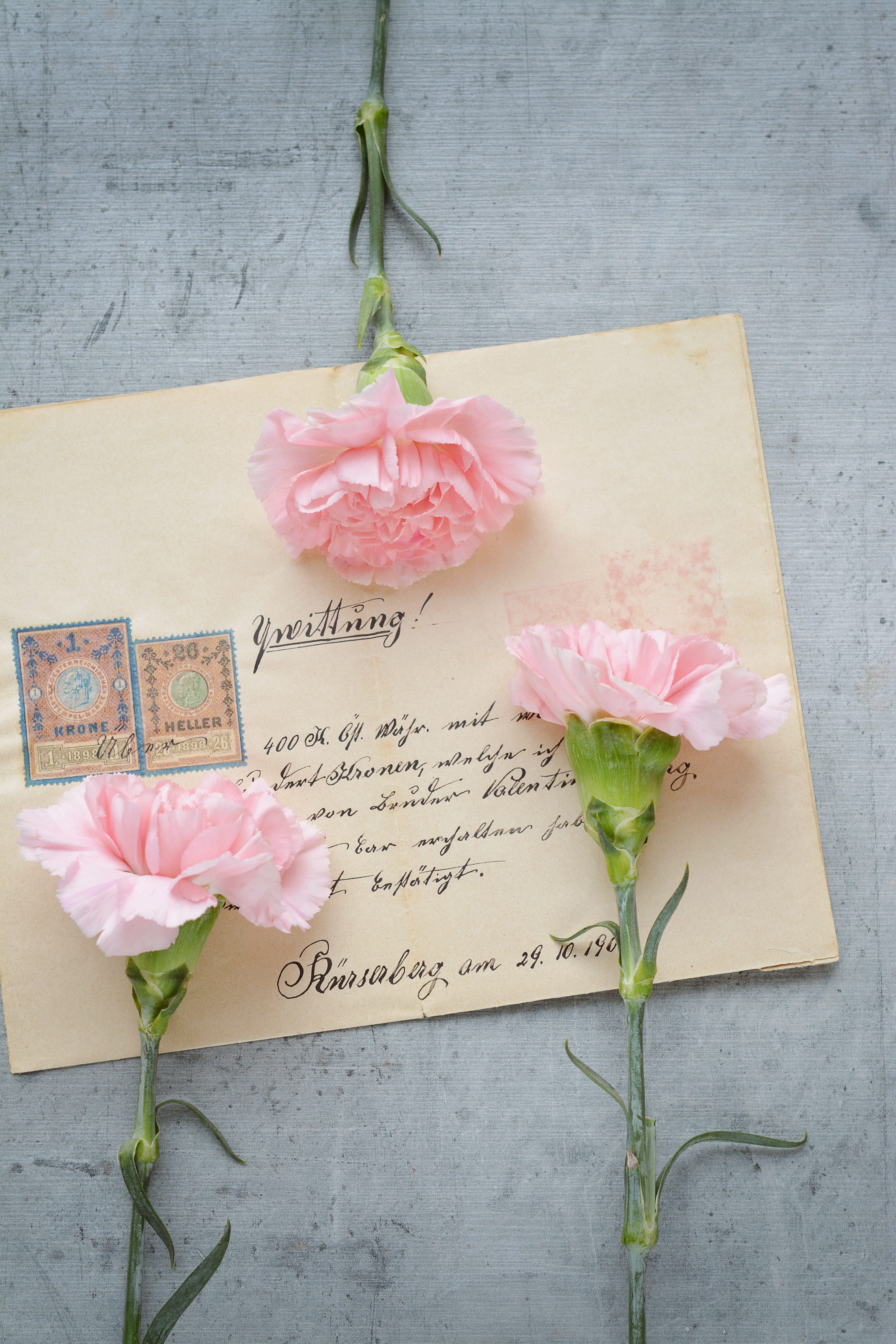 carnation, message, softness, petal, flowers, freshness, paper, bouquet, decoration, outdoors, 5K, positive emotion, nature, rose, no people, western script, Phone HD Wallpaper