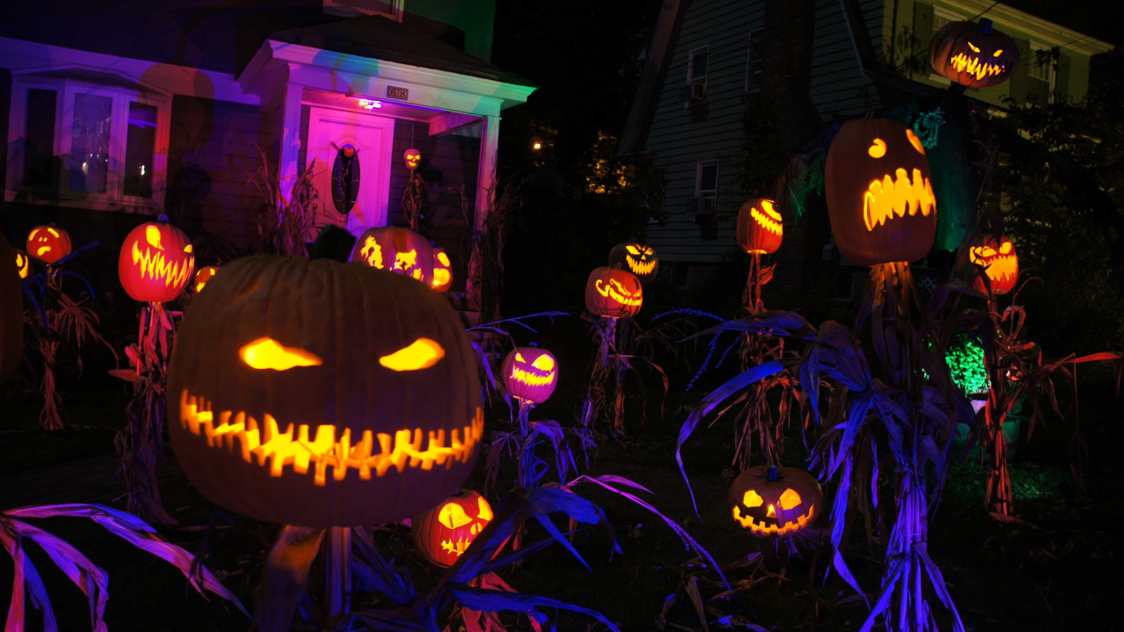 4K, cap, All Hallows Eve, yellow, decoration, All Saints Eve, pumpkin, house, fear, Halloween, lights, porch, HD Wallpaper