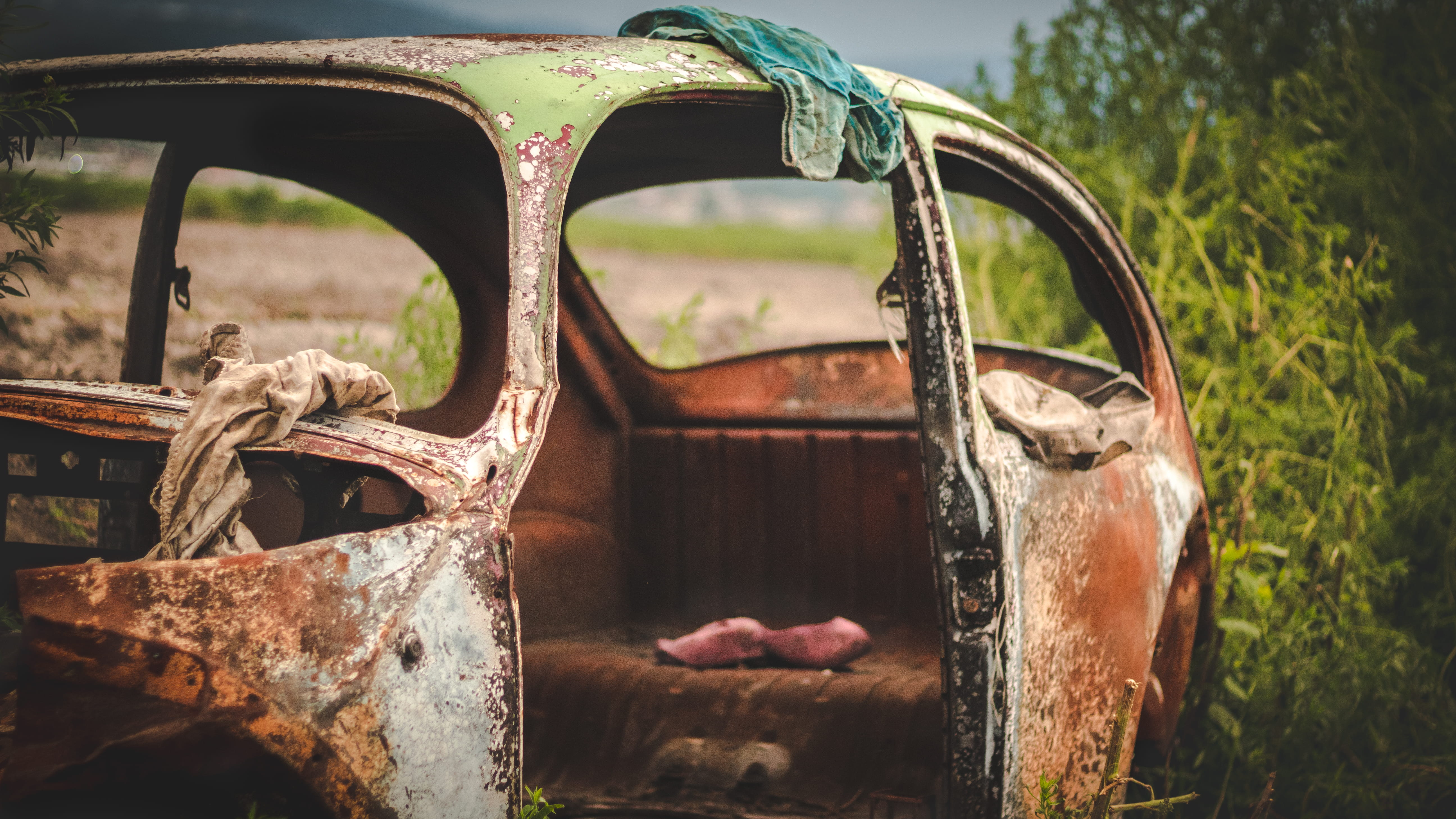 unsplash, street, animal, vertebrate, plant, 5K, day, close-up, vintage, lifestyle, no people, rusty, old, outdoor, selective focus, sunset, HD Wallpaper