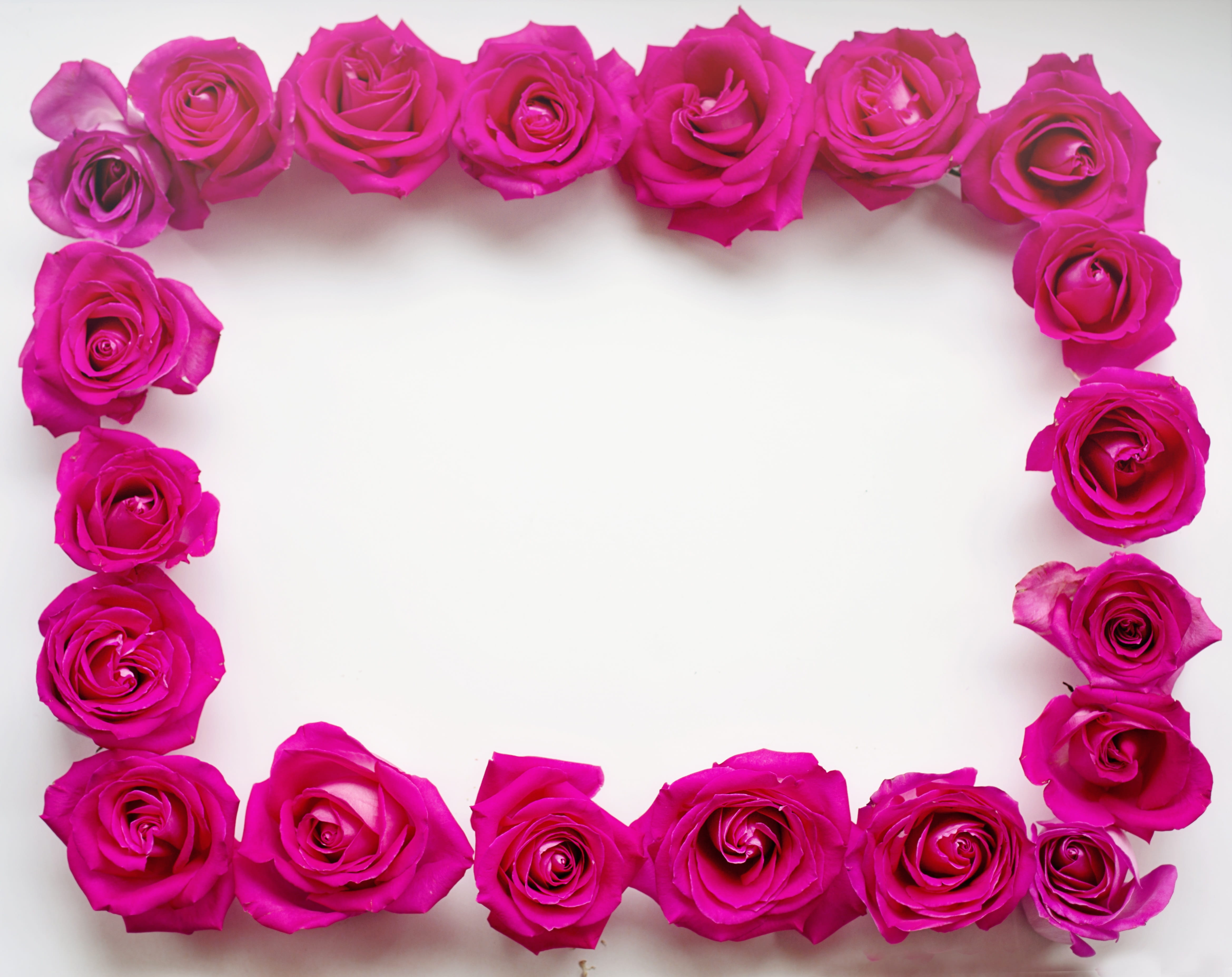 flower, studio shot, plant, copy space, valentines day - holiday, pink, red rose, bouquet, rose - flower, spring, edge, surface, summer, freshness, valentine, HD Wallpaper