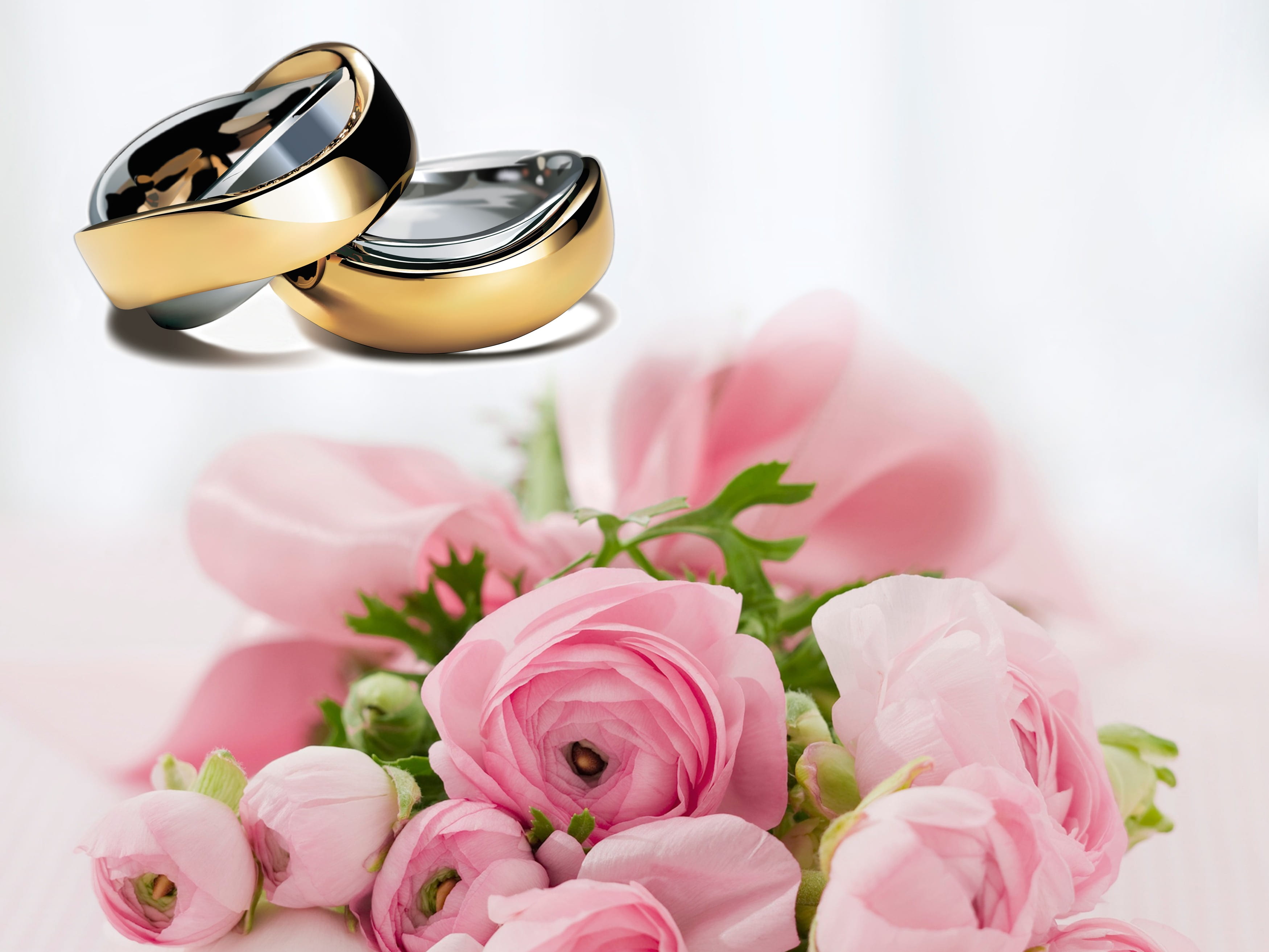 romance, map, flowers, woman, love, flower arrangement, ranunkeln, wedding bouquet, still life, white, rings, two, beauty in nature, ranunculaceae, freshness, HD Wallpaper