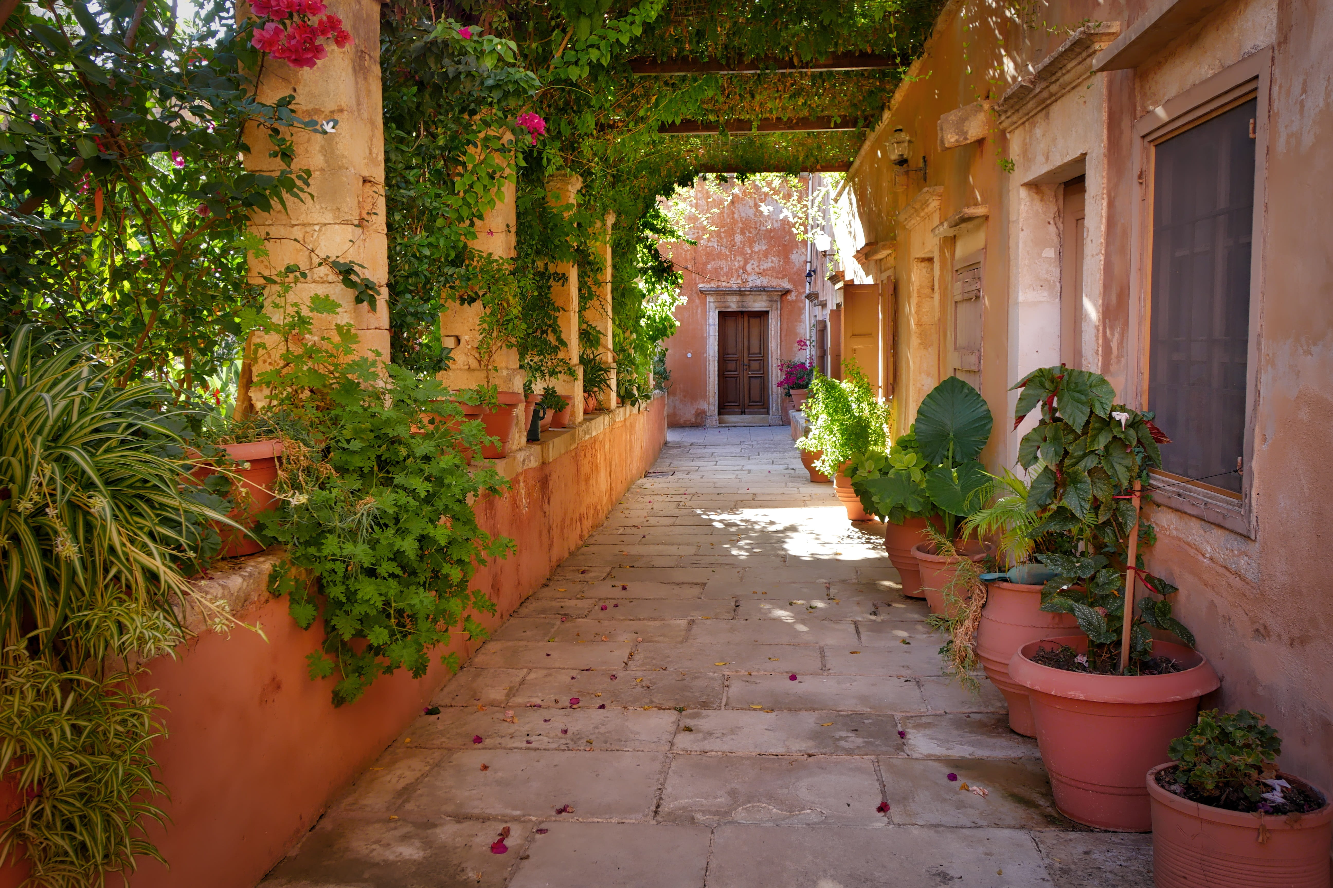 house facade, narrow, leafed, potted plant, passage, flower pot, 5K, growth, entrance, outdoors, crete, direction, arcade, window, tree, red, day, alley, HD Wallpaper