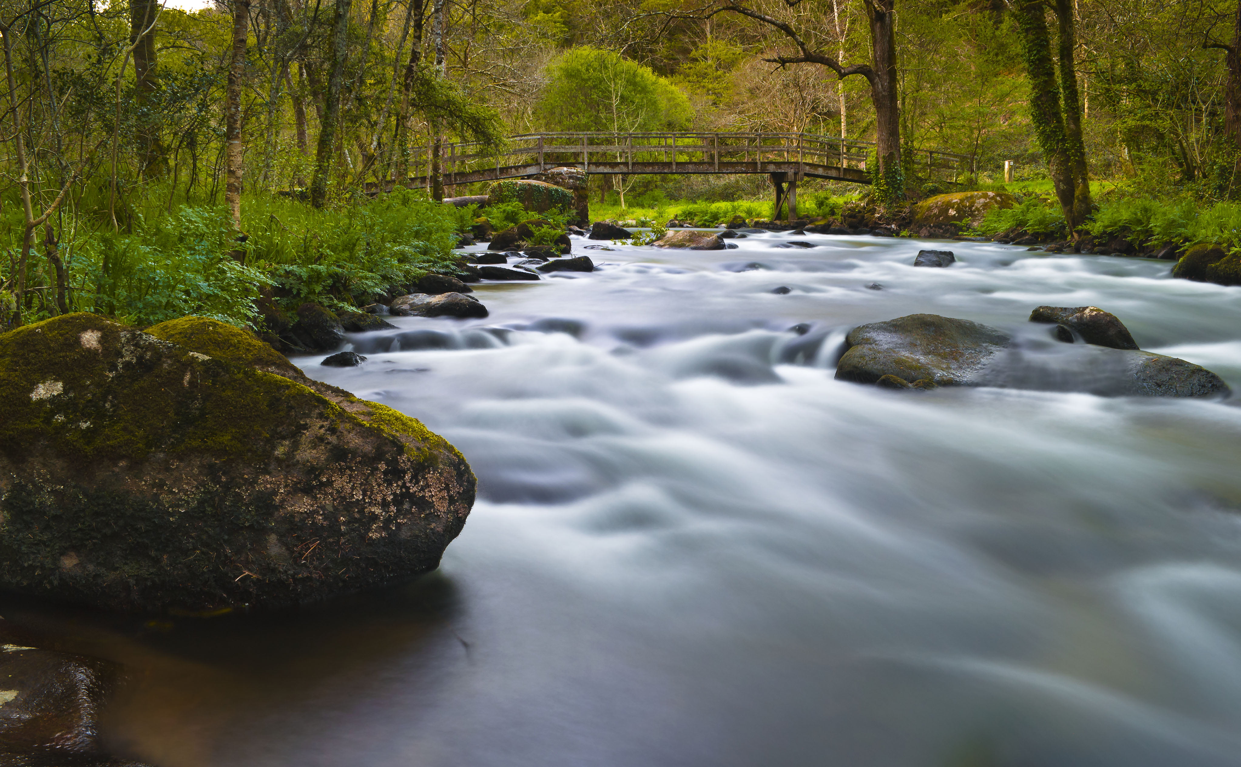 moss, landscape, GR, europe, roche, BZH, forest, trees, france, eau, scenics, Monde, filet, nikon  D3100, river, du, green Color, nature, stream, passage, HD Wallpaper
