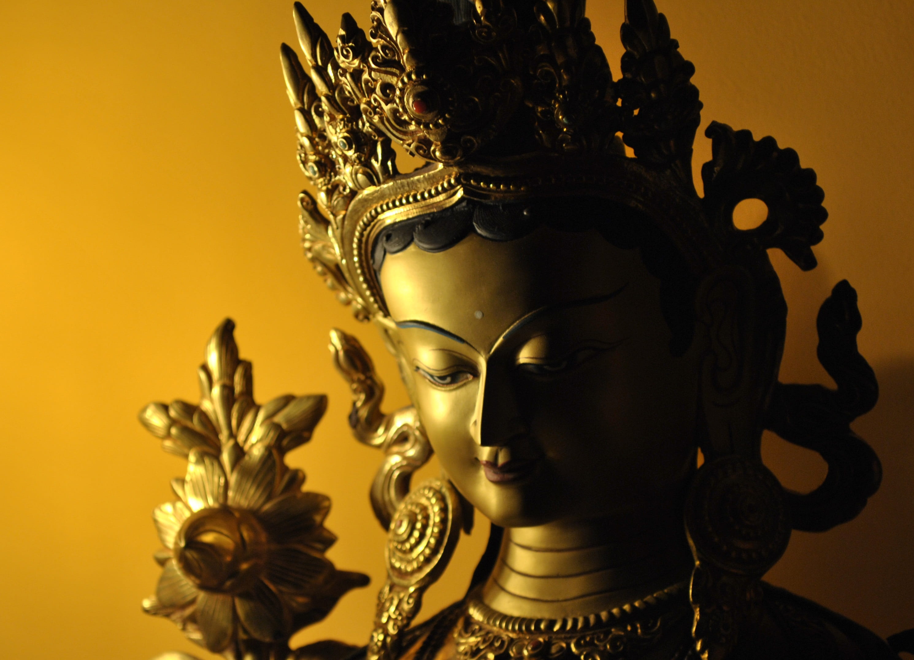 studio shot, representation, colored background, history, ornate, gold colored, art and craft, indoors, metal, wealth, sculpture, close-up, the past, human representation, HD Wallpaper