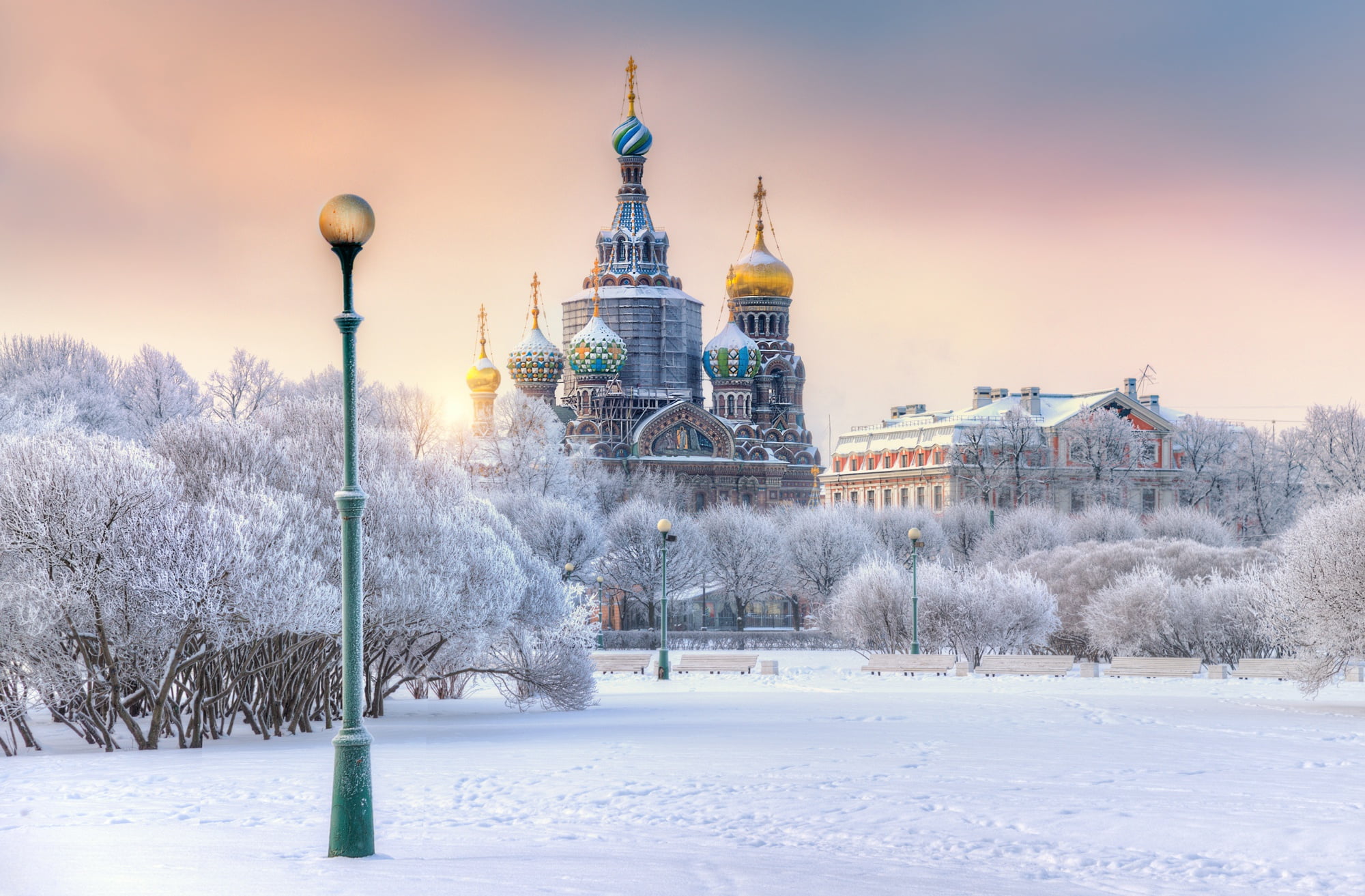 winter, The field of Mars, Eduard Gordeev, Saint Petersburg, Russia, 1080P, temple, lantern, Cathedral, trees, snow, Church of the Savior on Blood, HD Wallpaper