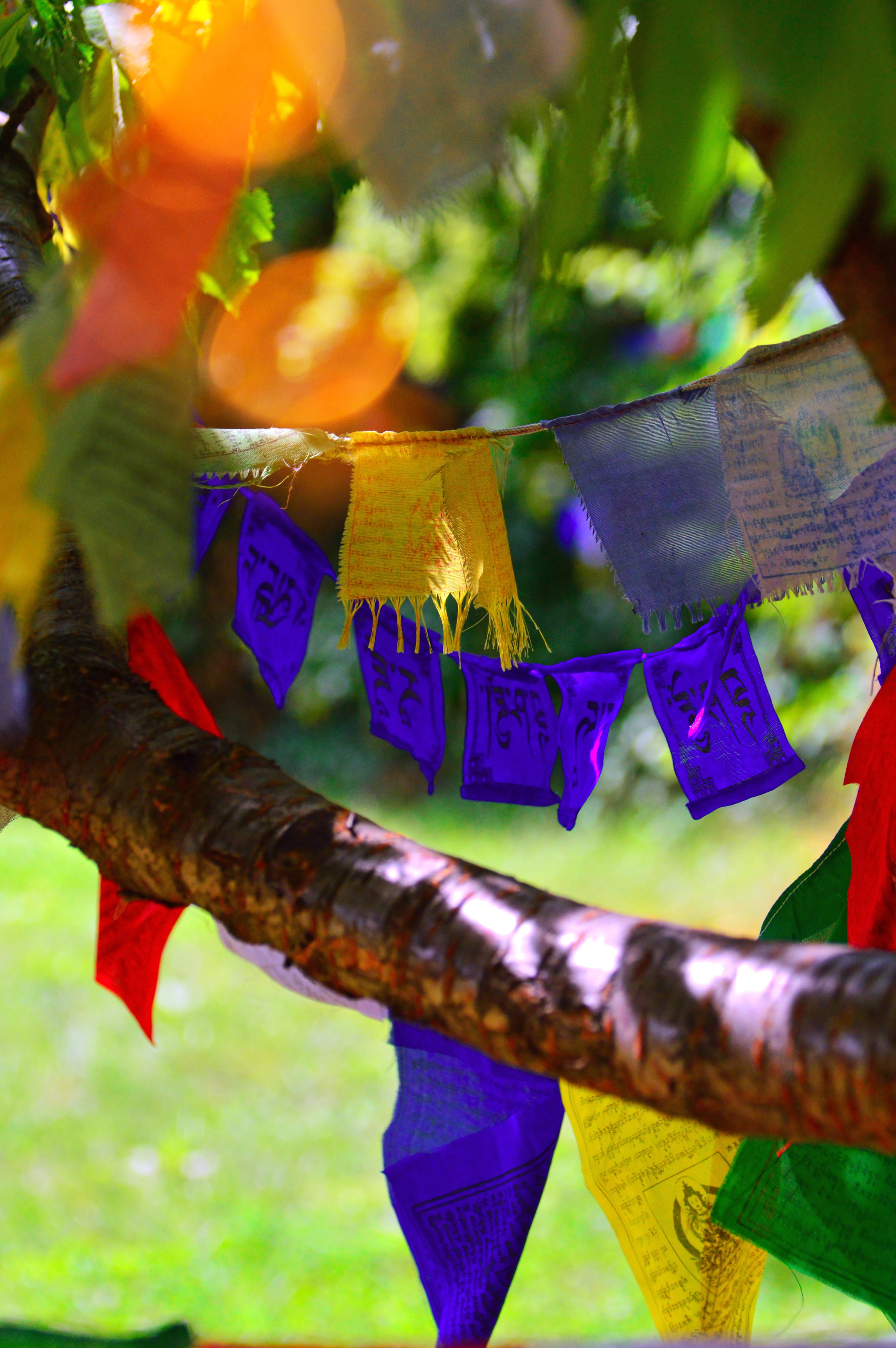 celebration, design, outdoors, prayer flags, no people, textile, close-up, chinese, spirituality, traditional festival, nature, day, plant, tradition, selective focus, Phone HD Wallpaper