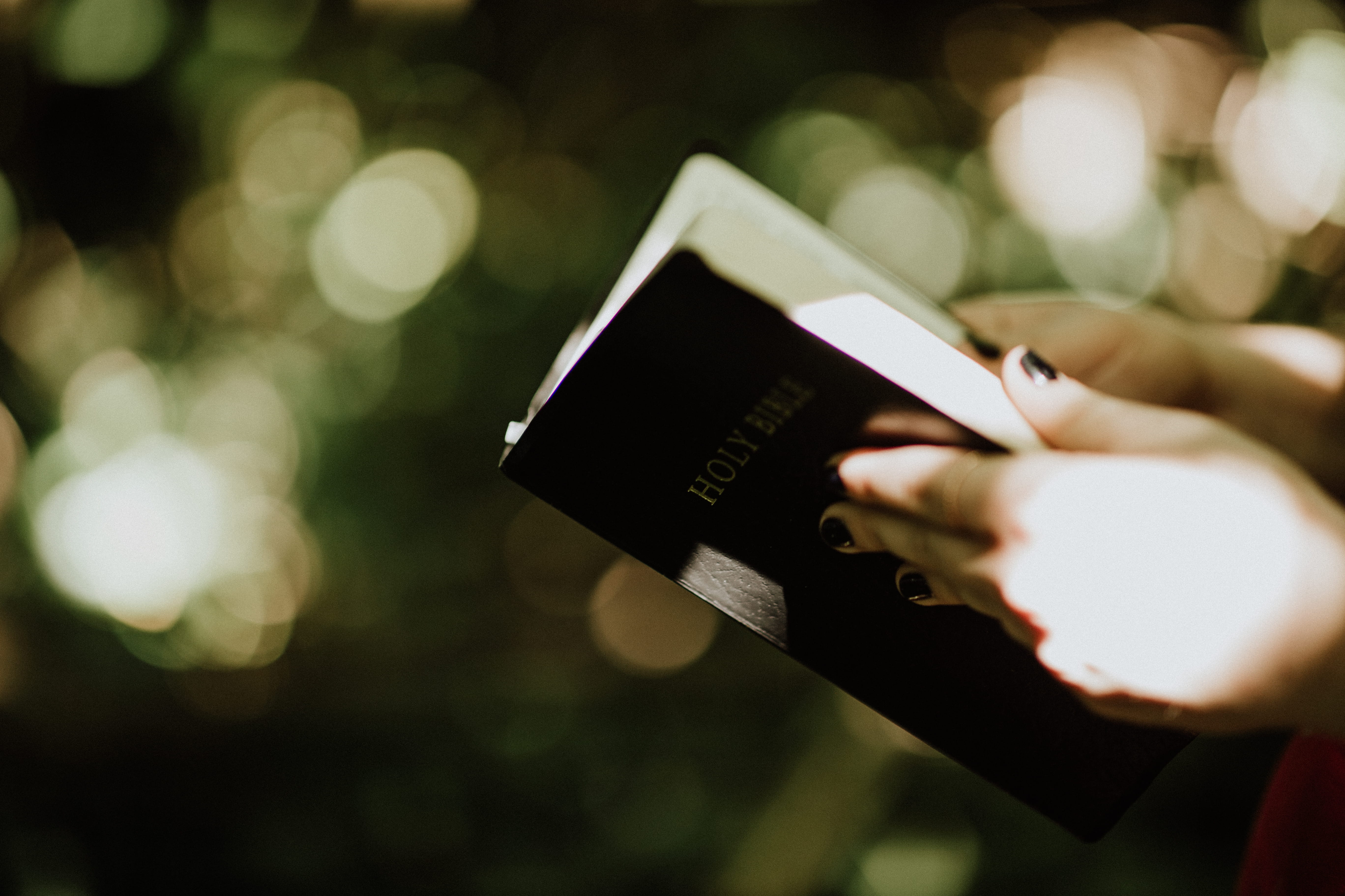 studying, telephone, business, unrecognizable Person, religion, christian, hand, smart Phone, scripture, selective Focus, bible, close up, photography, HD Wallpaper