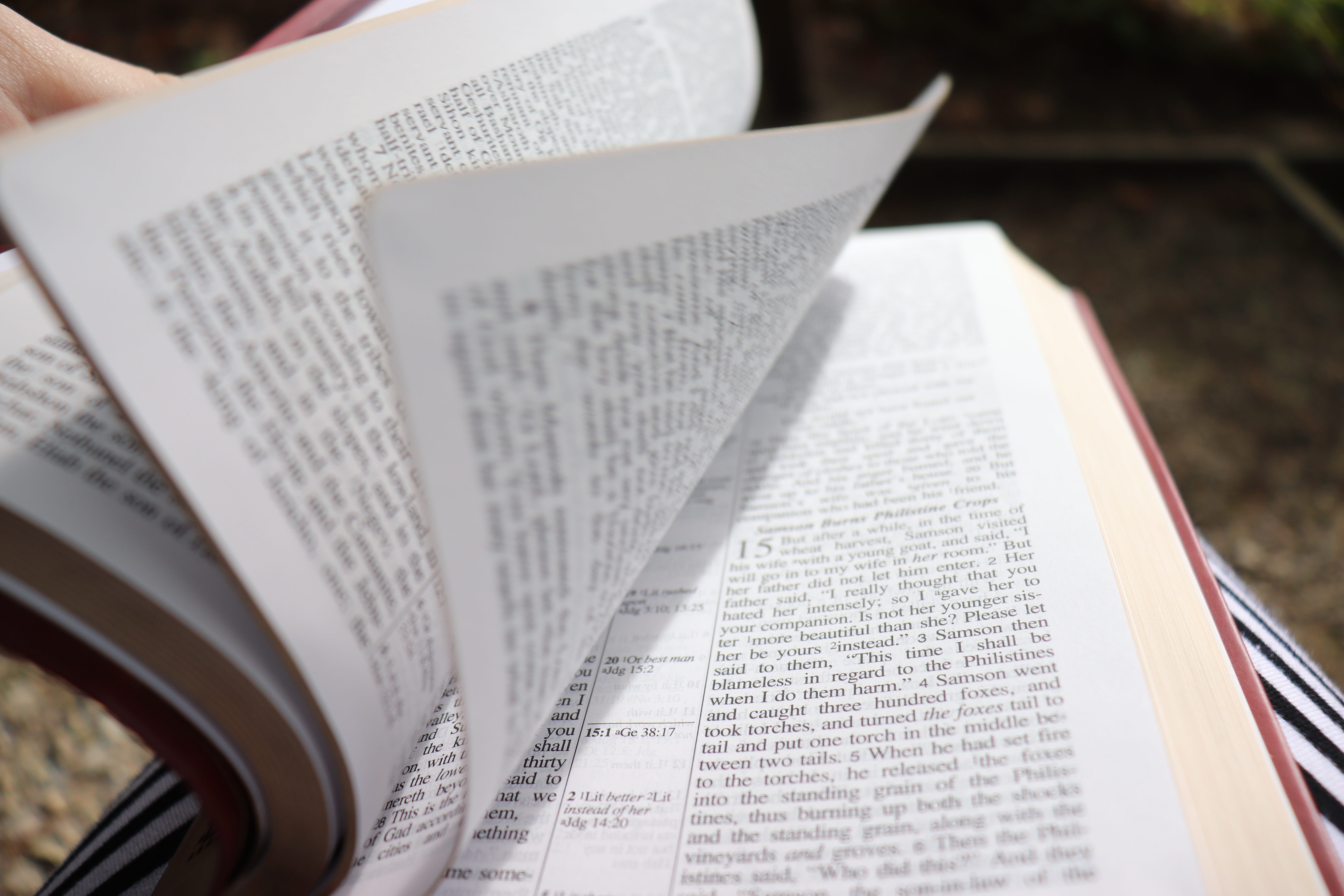 jesus, page, christianity, religion, hope, motion, study, still life, learning, literature, reading, movement, paper, publication, god, faith, holy, western script, HD Wallpaper