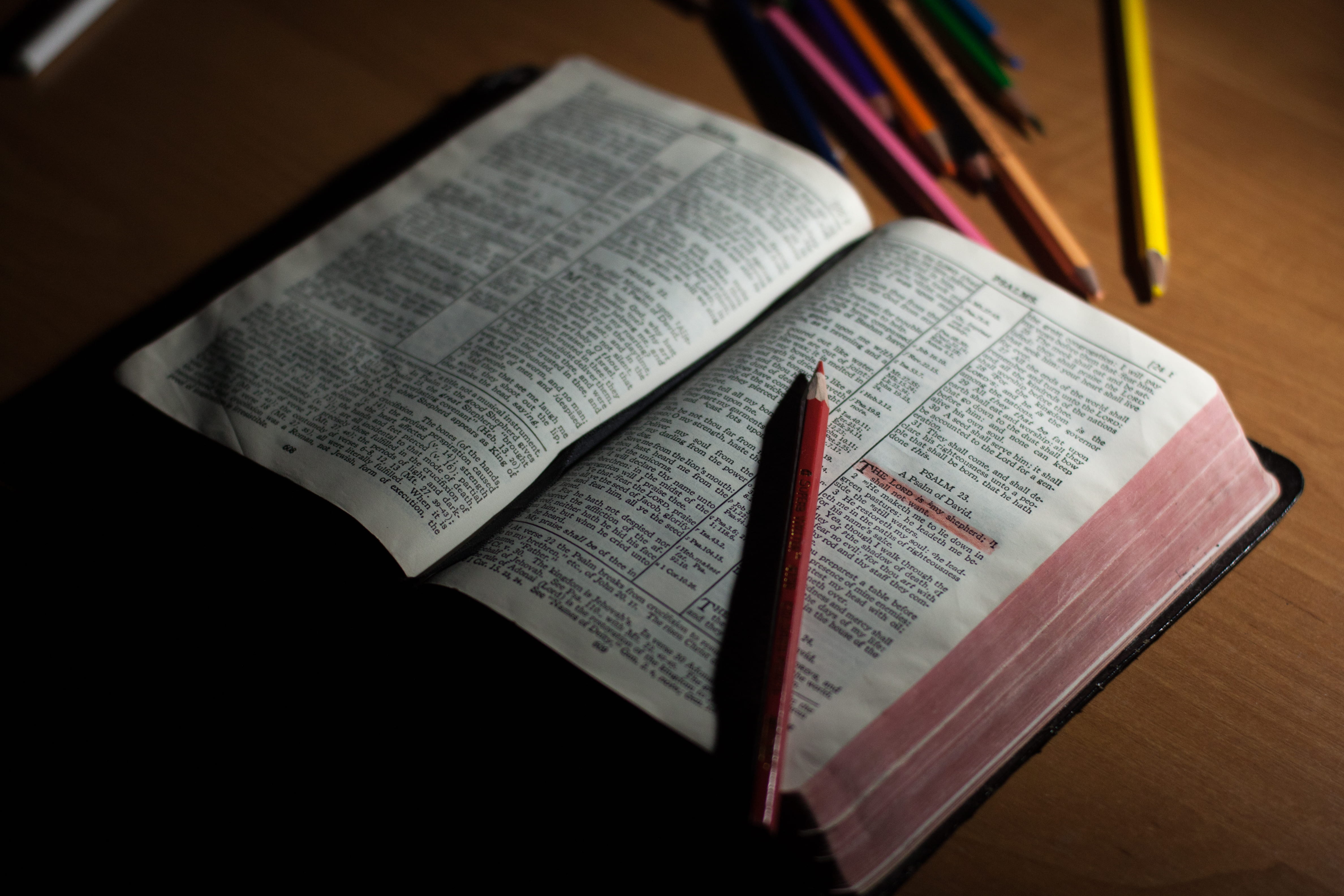 spirituality, religion, 4K, holy, testament, wooden, study, knowledge, still life, text, bible, literature, pen, red, publication, christian, no people, HD Wallpaper