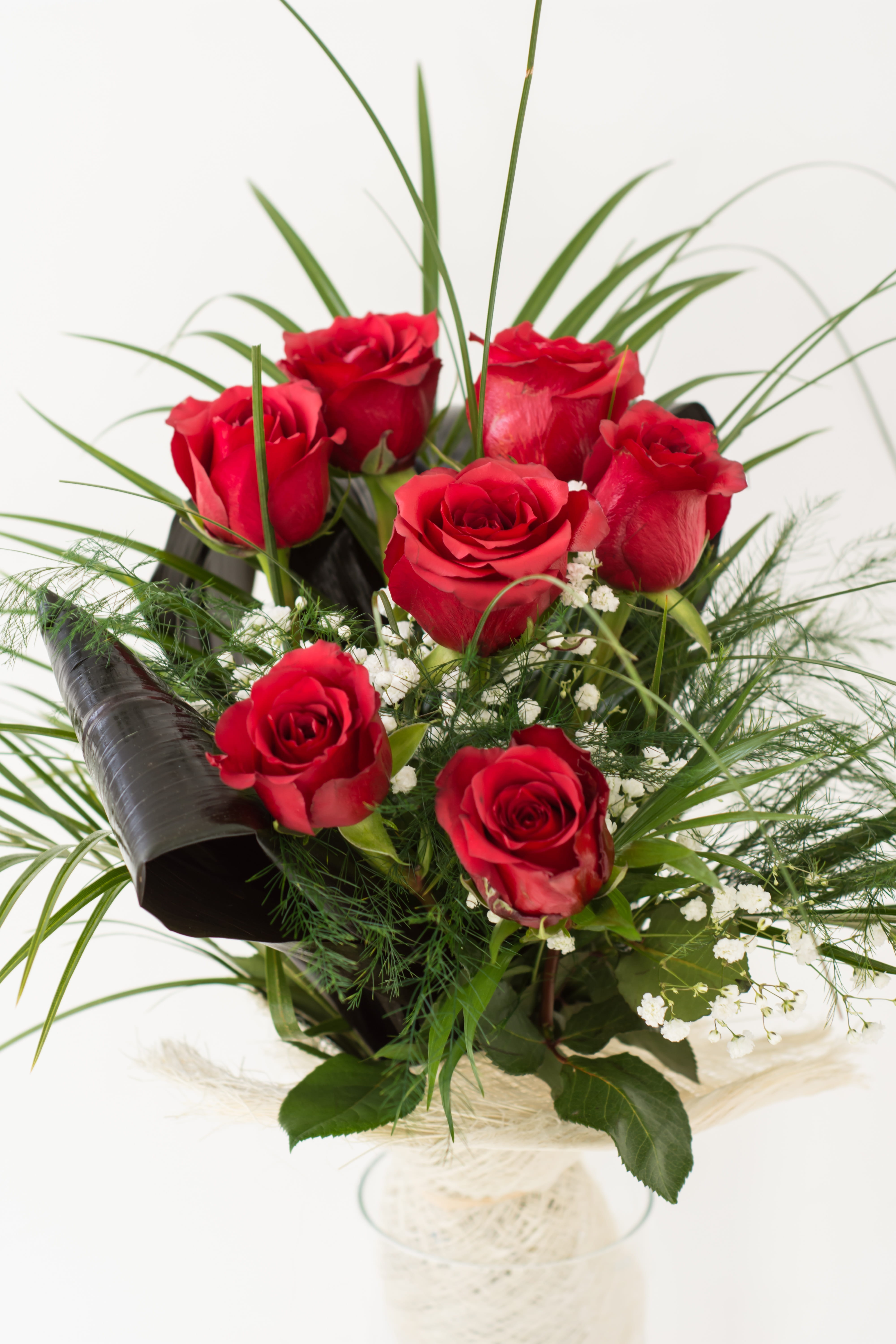 flower pot, 5K, single, blossom, Red Roses, color, vulnerability, indoors, flowers, anniversary, bloom, flowering plant, fragility, roses, gift, holiday, Phone HD Wallpaper