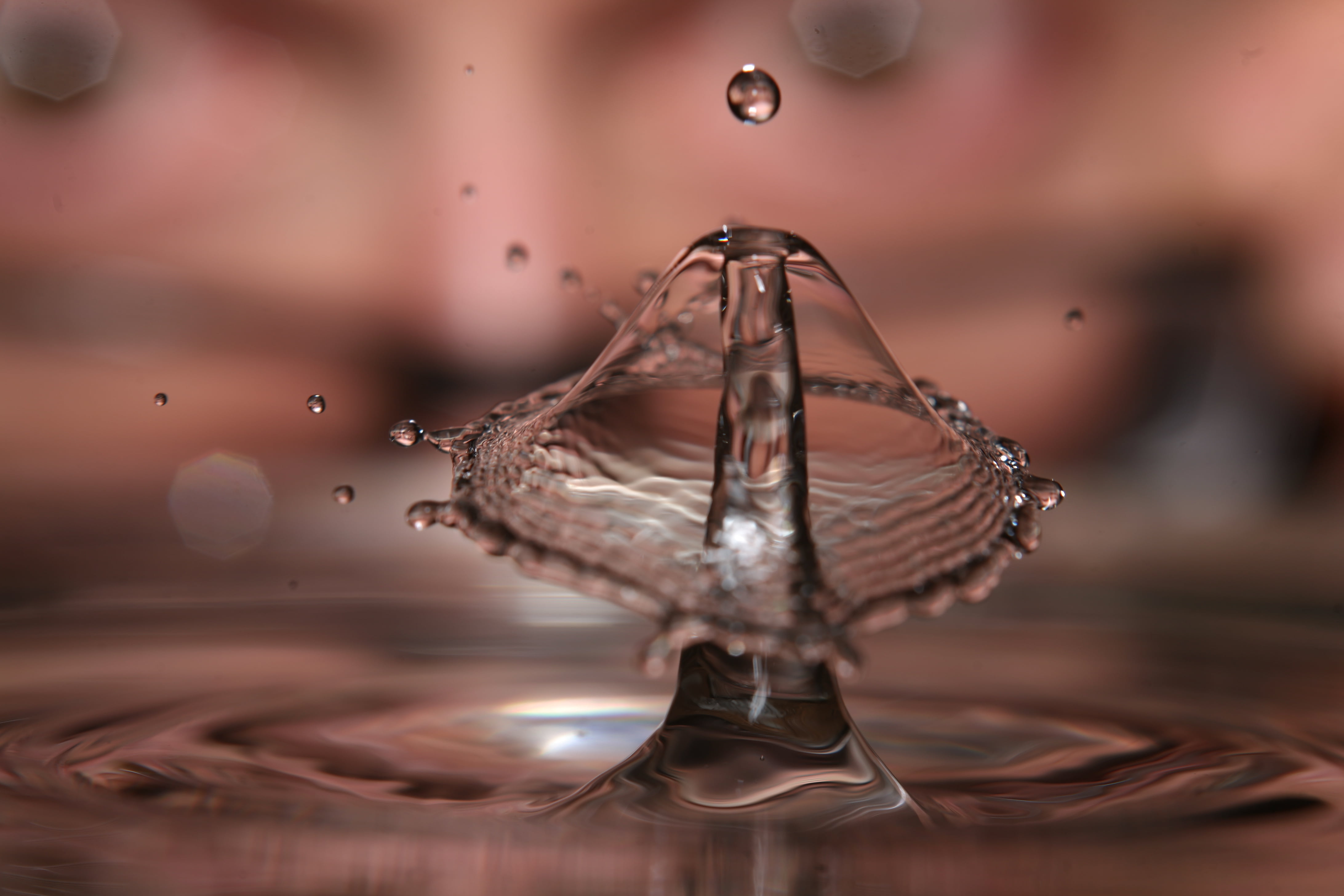 macro, 105mm, bubble, sigma, water, Drops, body of water, photo, water  drop, body, closeup, drop, jellyfish, speedlight, 4K, Collide, mushroom, splashing, HD Wallpaper