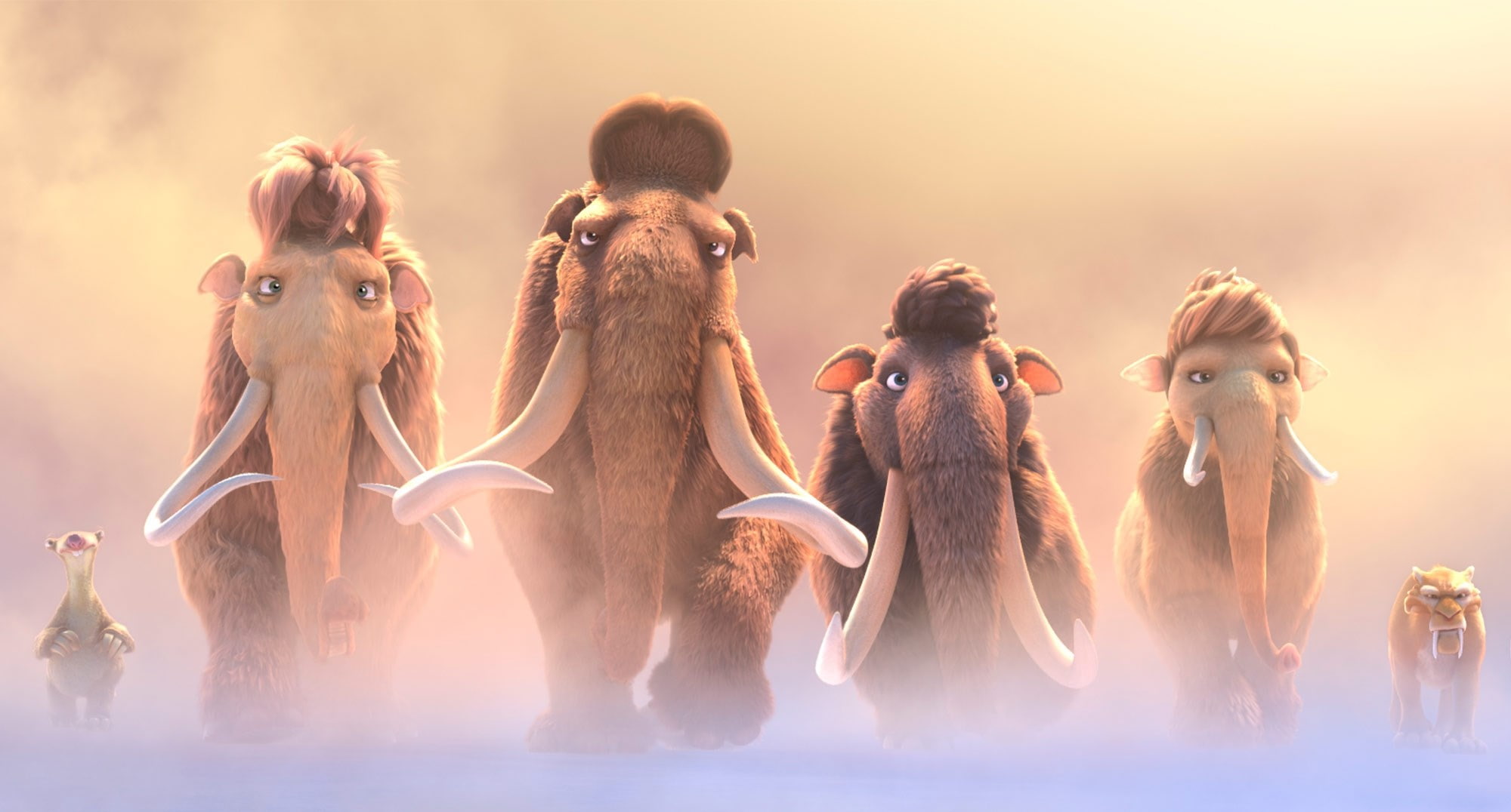 fashion, panoramic, domestic animals, looking, women, adult, mammal, beauty, sunset, animal wildlife, happiness, nature, people, beauty in nature, 1080P, HD Wallpaper