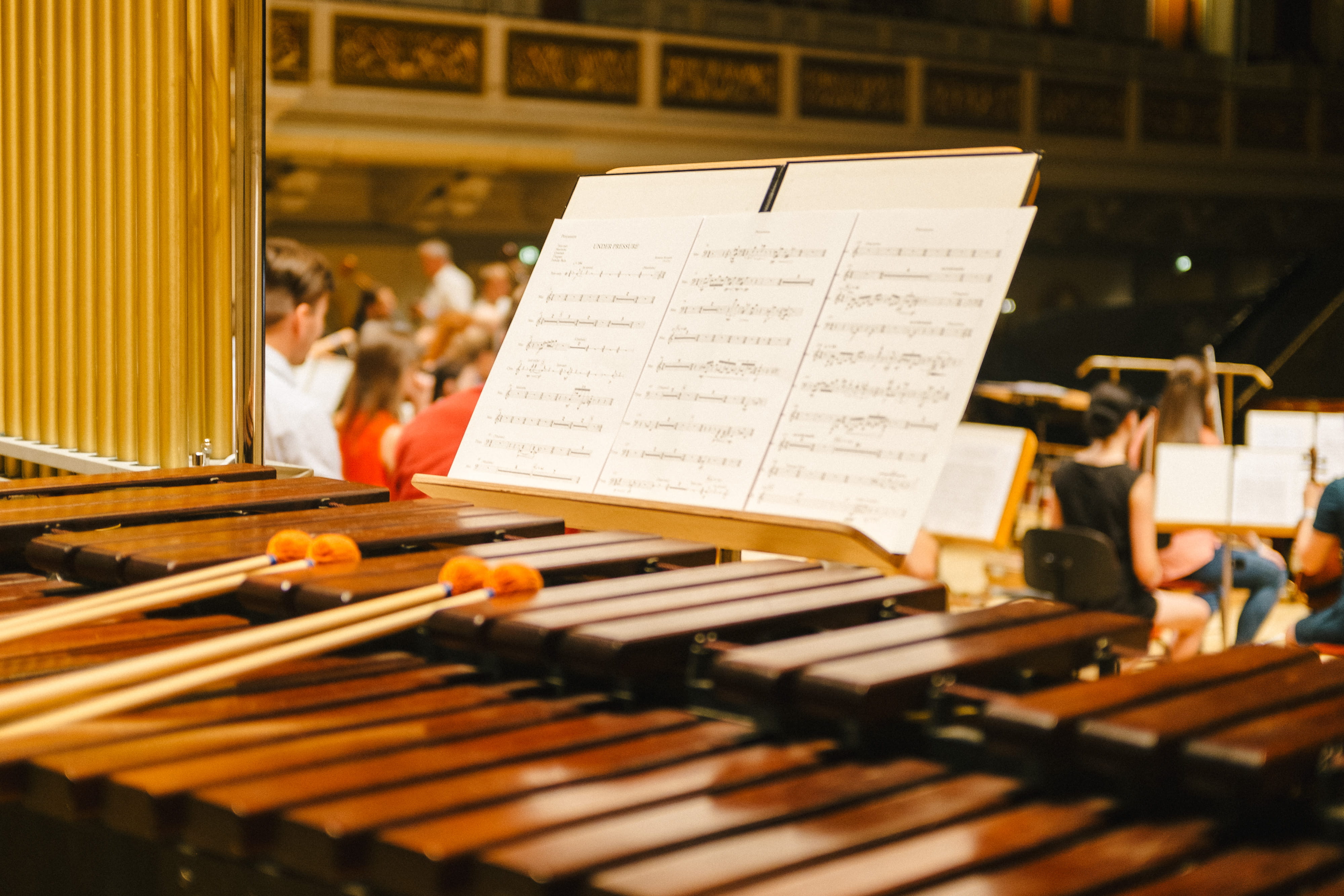 symphony, percussion, arts culture and entertainment, drumstick, group of people, men, music, dark, instrument, drum, marimba, adult, orchestra, classic, HD Wallpaper