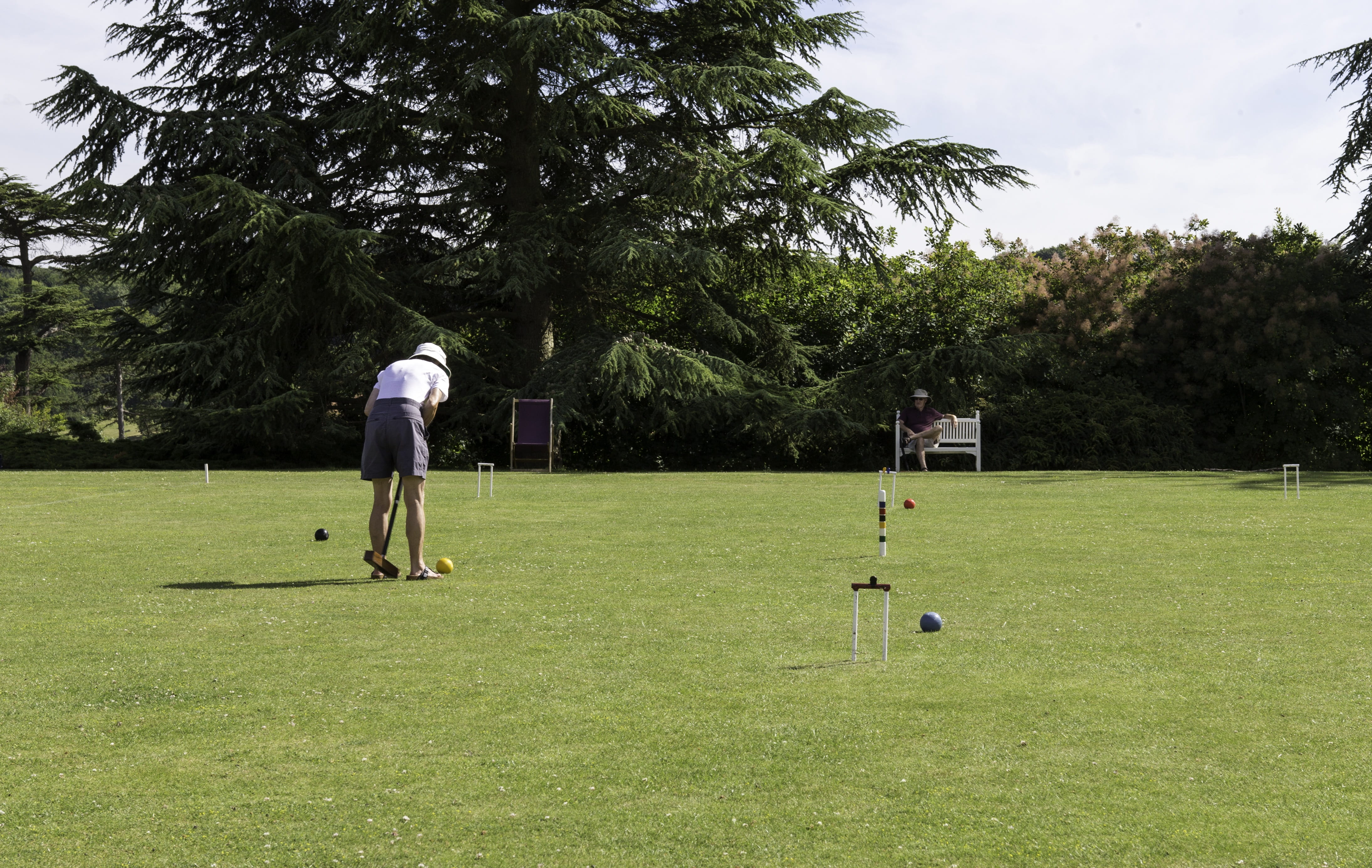 man seated, lawn, playing, mallet, nature, ball, leisure activity, activity, 4K, golf, men, hoops, sportsman, green color, day, tree, real people, summer, HD Wallpaper