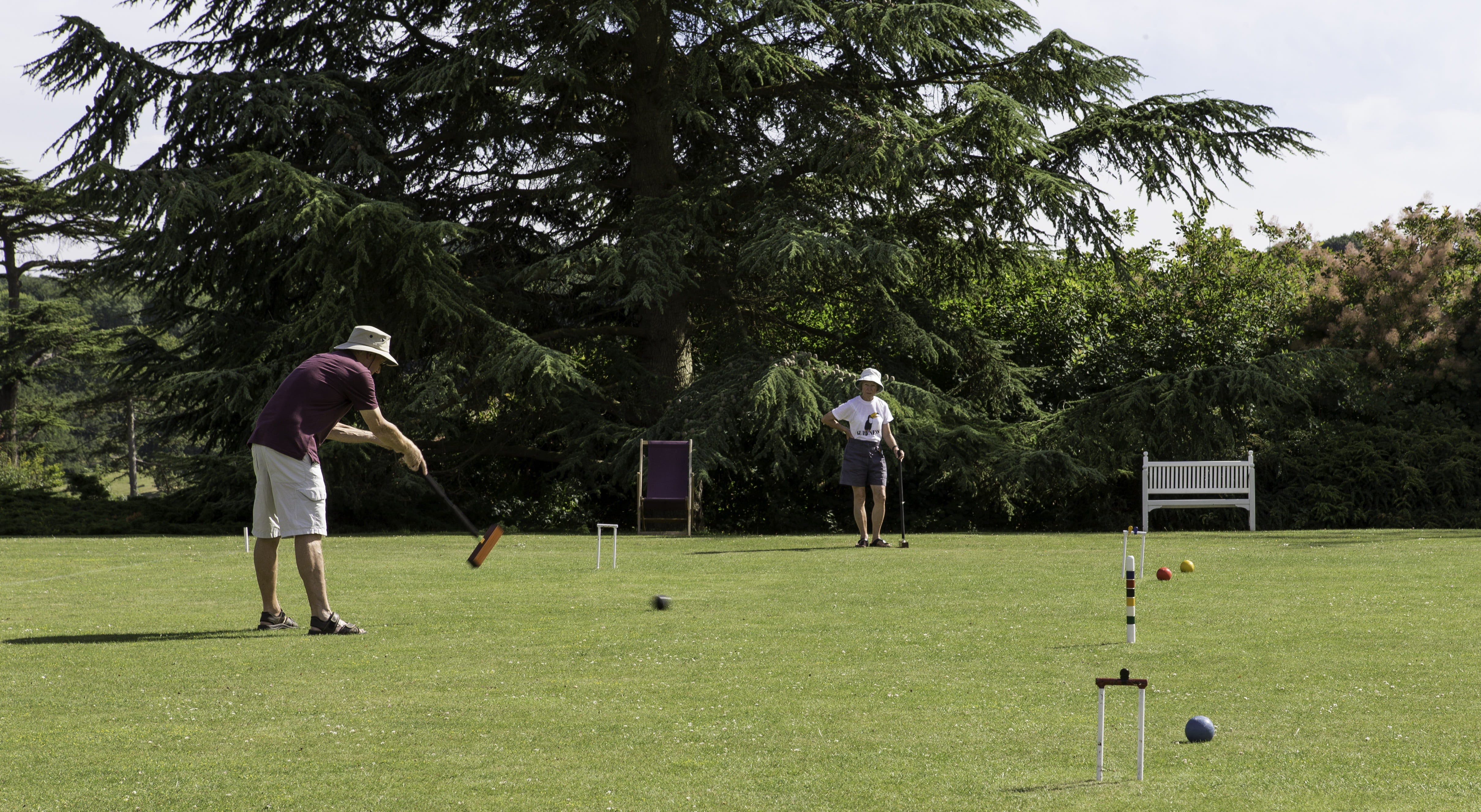 day, trees, green - golf course, group of people, leisure activity, grass, people, 4K, hoops, bench seat, croquet competition, golf, tree, full length, HD Wallpaper