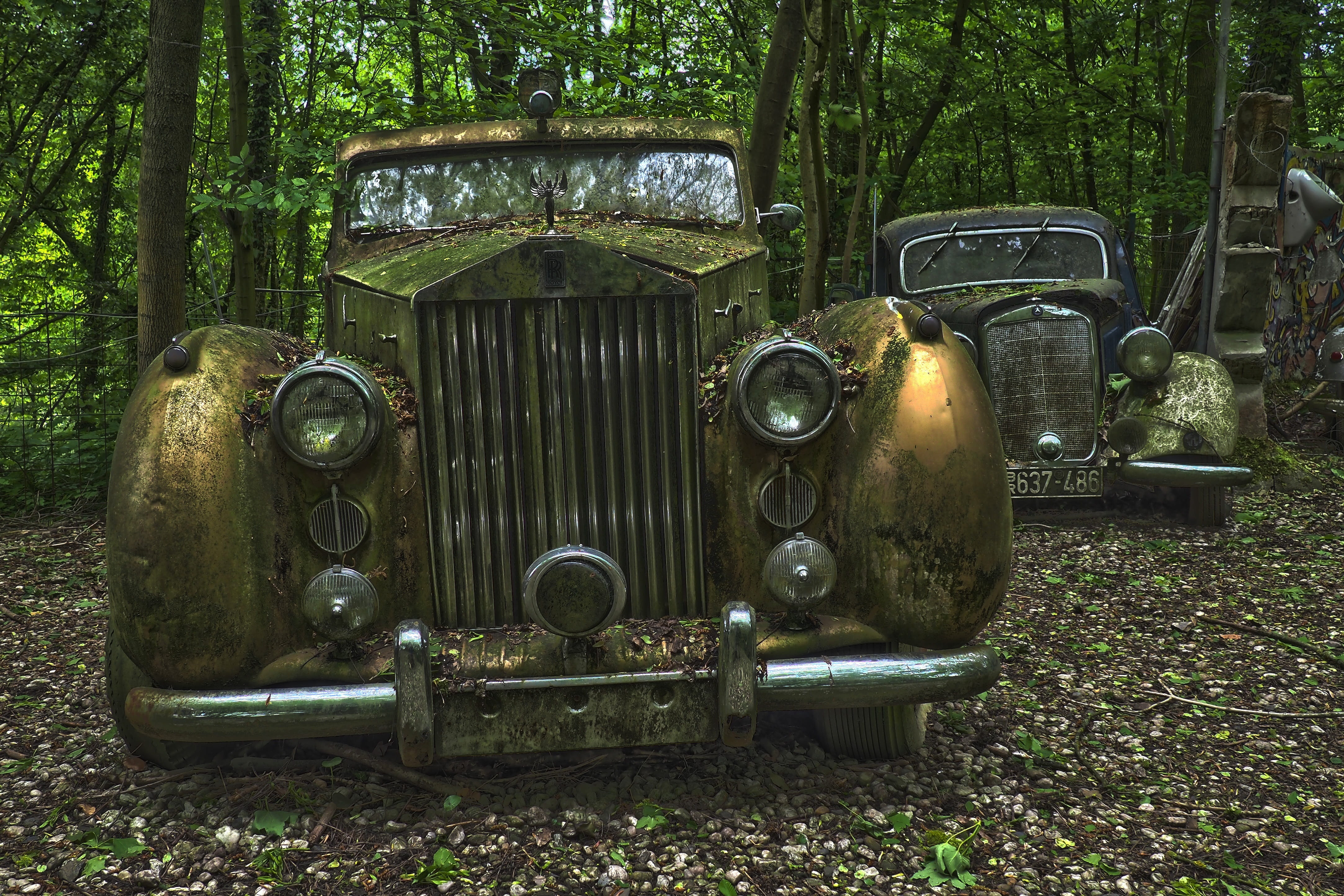 deterioration, run-down, neglected, land, old cars, trees, wreck, outdoors, forget, rolls royce silver wraith, rusty, mercedes benz, scrap car, memory, HD Wallpaper