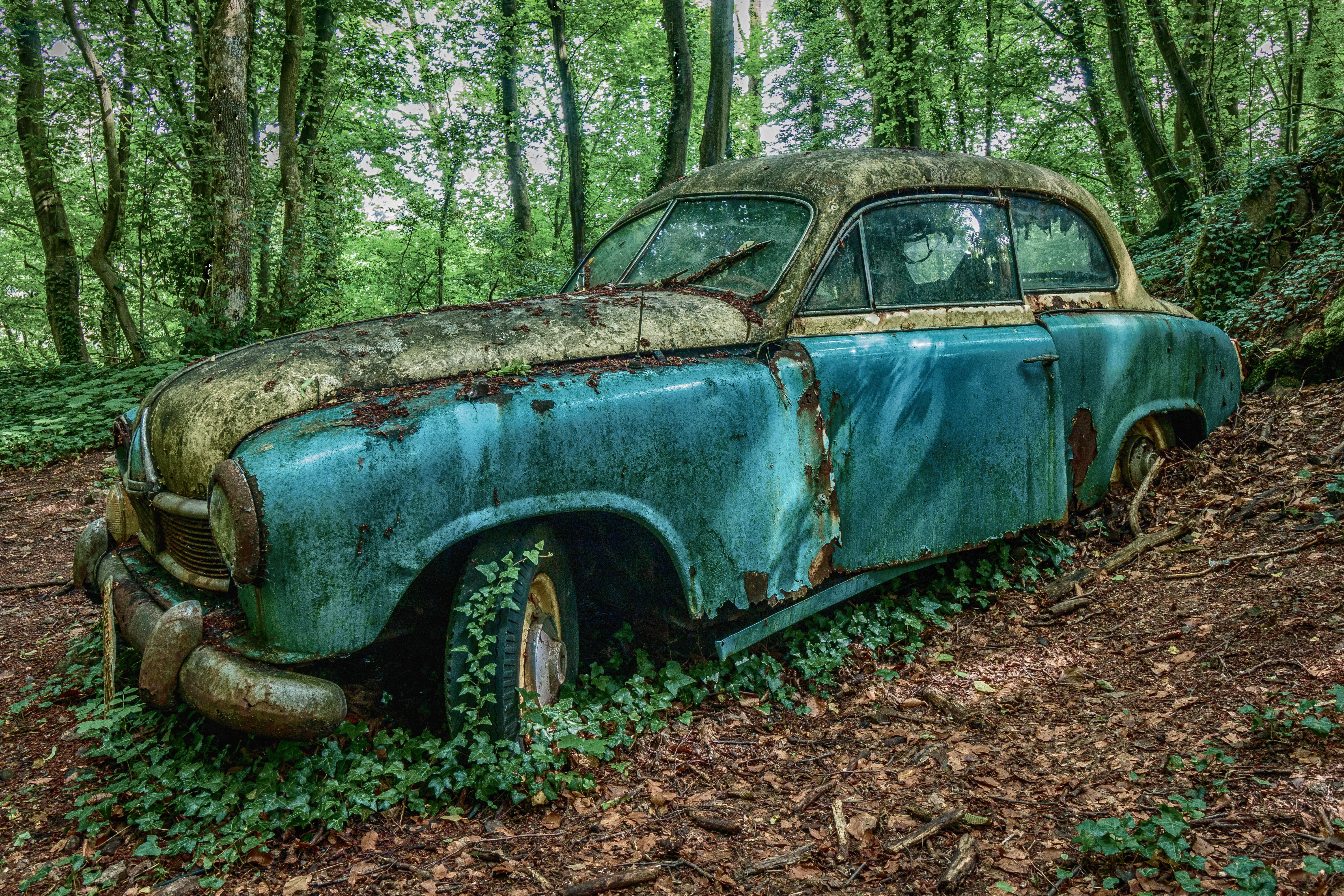 vehicle, pkw, oldtimer, rusted, 5K, vintage car automobile, mode of transportation, day, ruined, auto, metal, plant, old, tree, vintage car, car wreck, HD Wallpaper