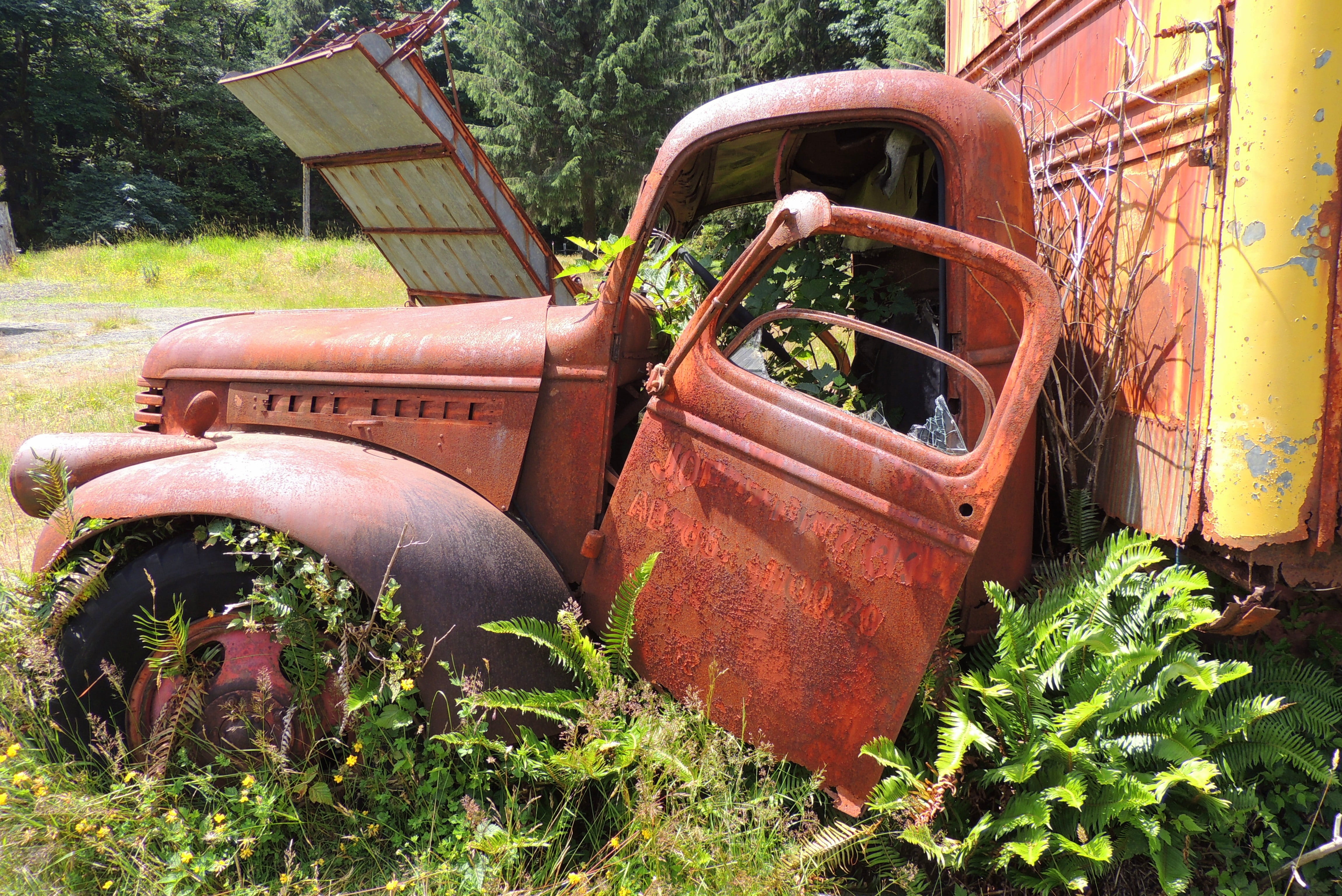 machine, rustic, red, weeds, transport, no People, bad condition, car, vintage, retro Styled, obsolete, Truck, Vehicle, metal, rusted, Abandoned, land, HD Wallpaper