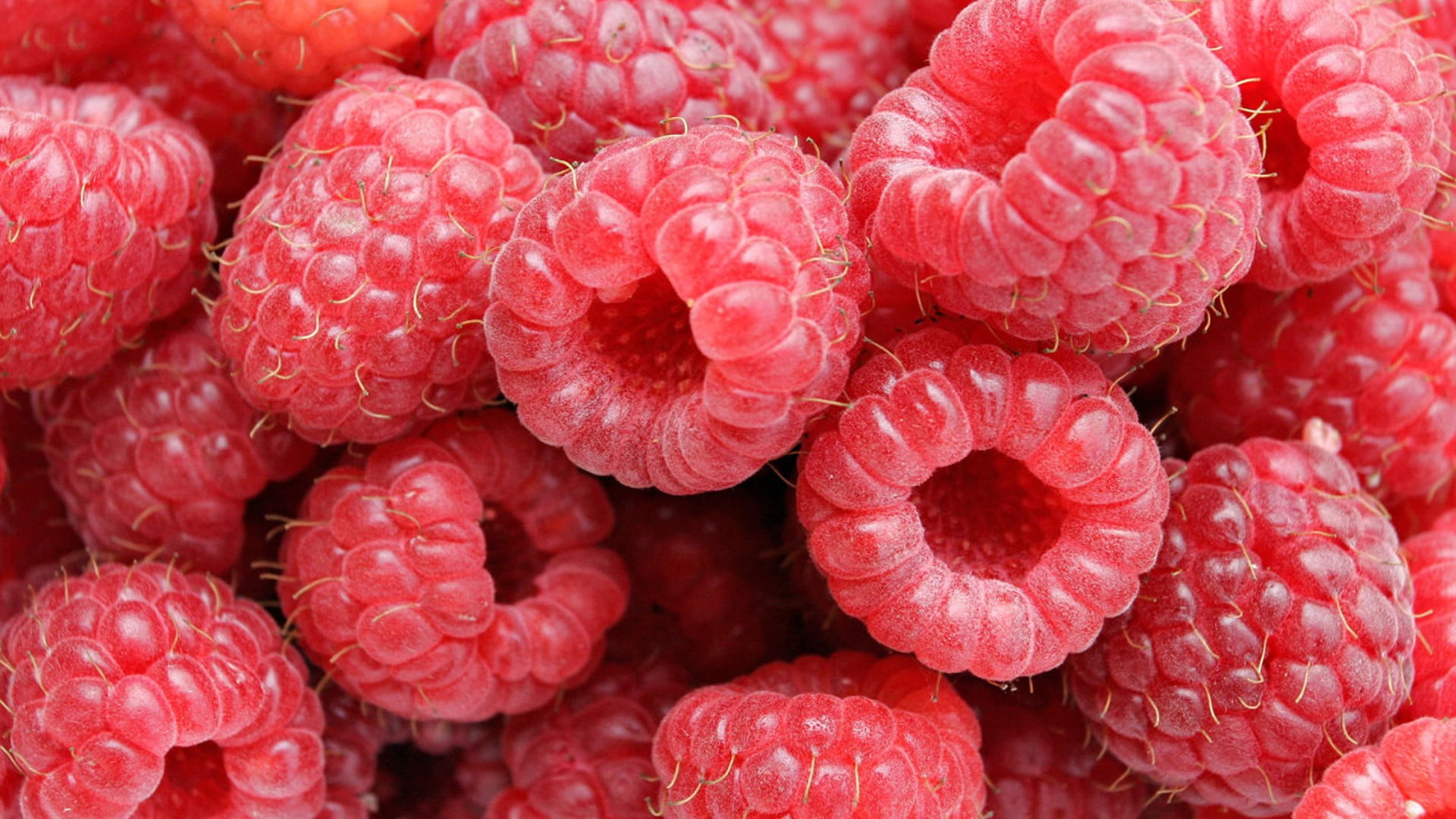 still life, 1080P, fruit, freshness, healthy eating, juicy, pattern, large group of objects, berry fruit, raspberries, red, ripe, cranberries, backgrounds, HD Wallpaper