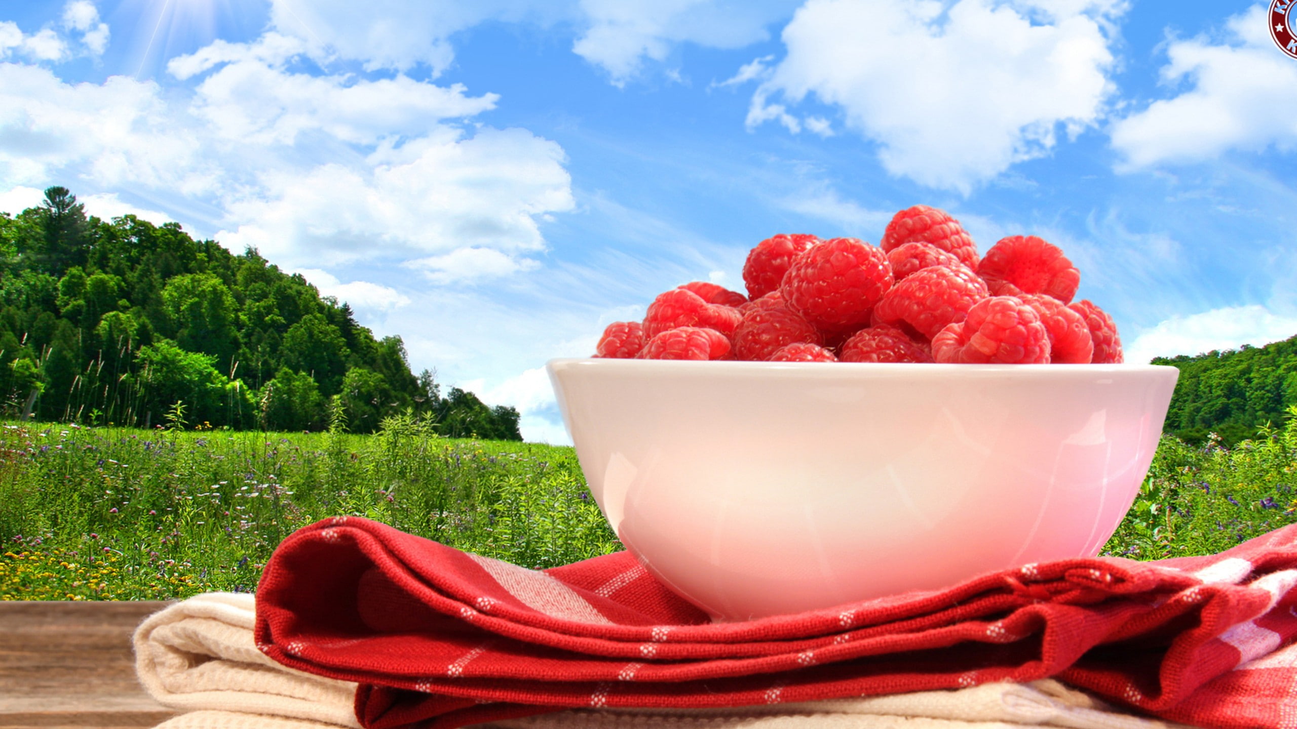 plant, macro, 2K, wellbeing, fruit, raspberries, ripe, tree, cloud - sky, no people, berry fruit, close-up, red, land, strawberry, nature, food, healthy eating, HD Wallpaper