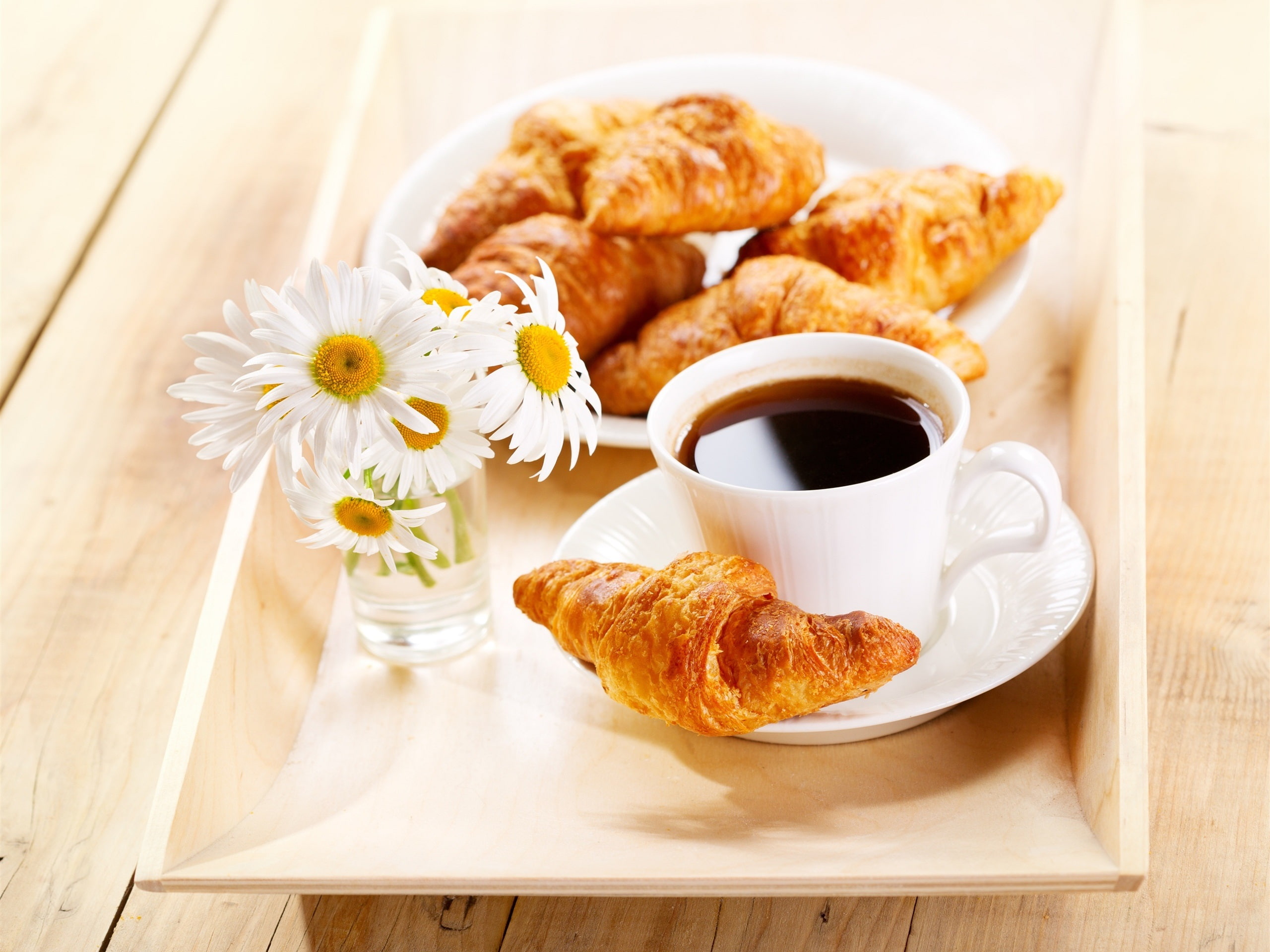 Breakfast, Coffee, Daisies, Croissants, 2K, Flowers, HD Wallpaper