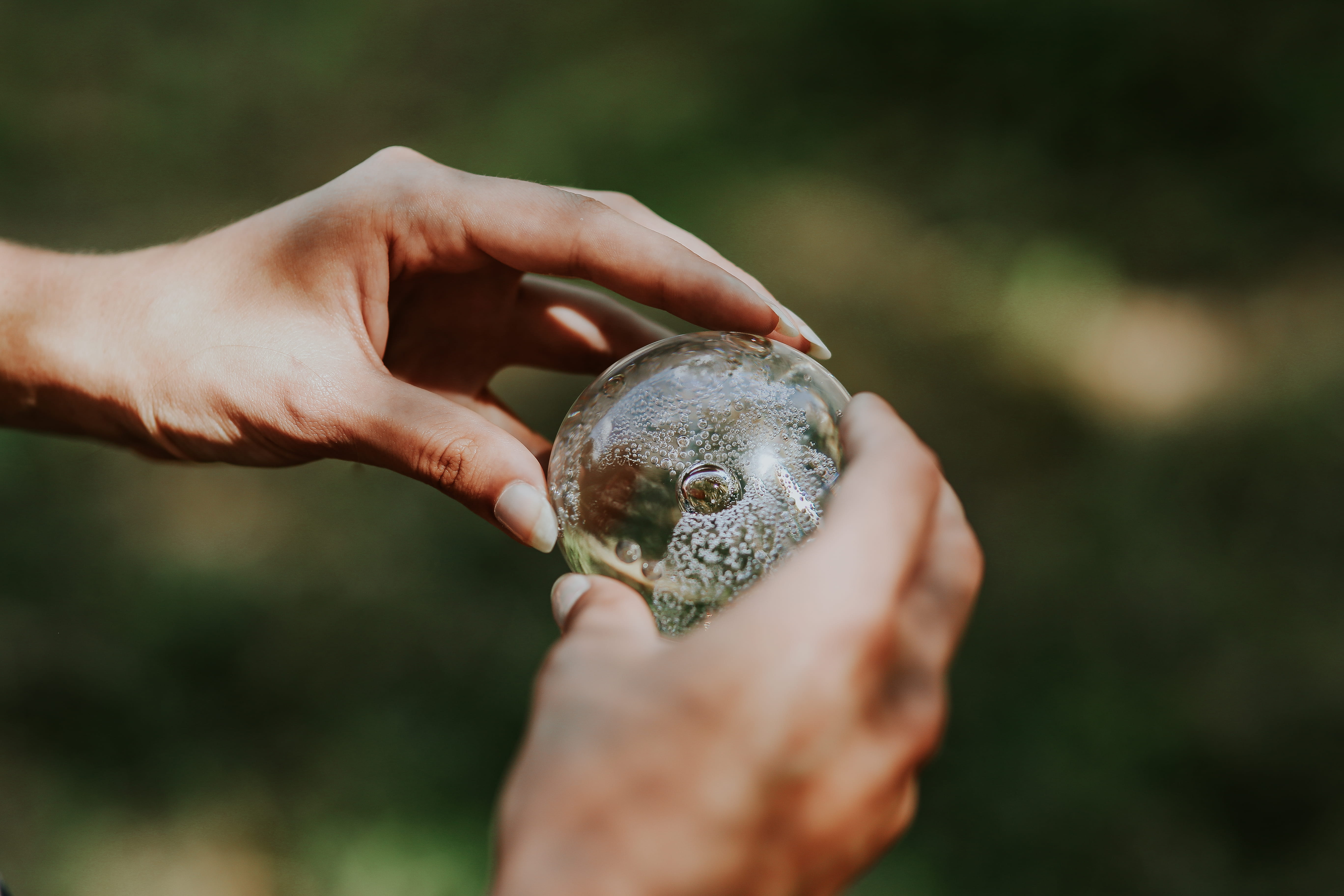 wildlife, outdoors, little, day, animal, people, care, female, human Hand, animals in the wild, human body part, nature, holding, small, 5K, Woman, crystal ball, HD Wallpaper