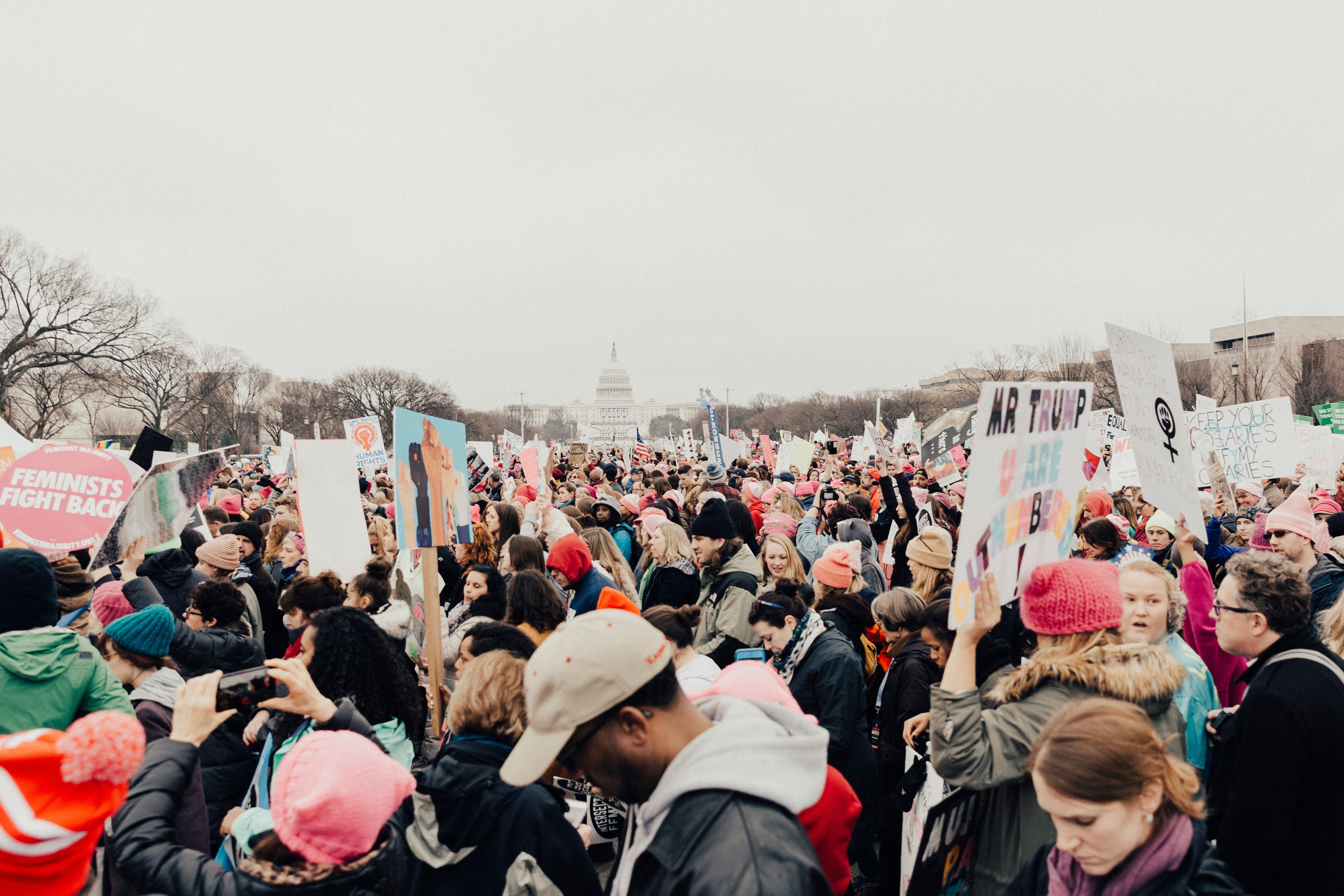 warm clothing, mosque, unite, adult, people, trump, nature, real people, lifestyles, protest, group of people, man, city, near, day, architecture, flag, HD Wallpaper