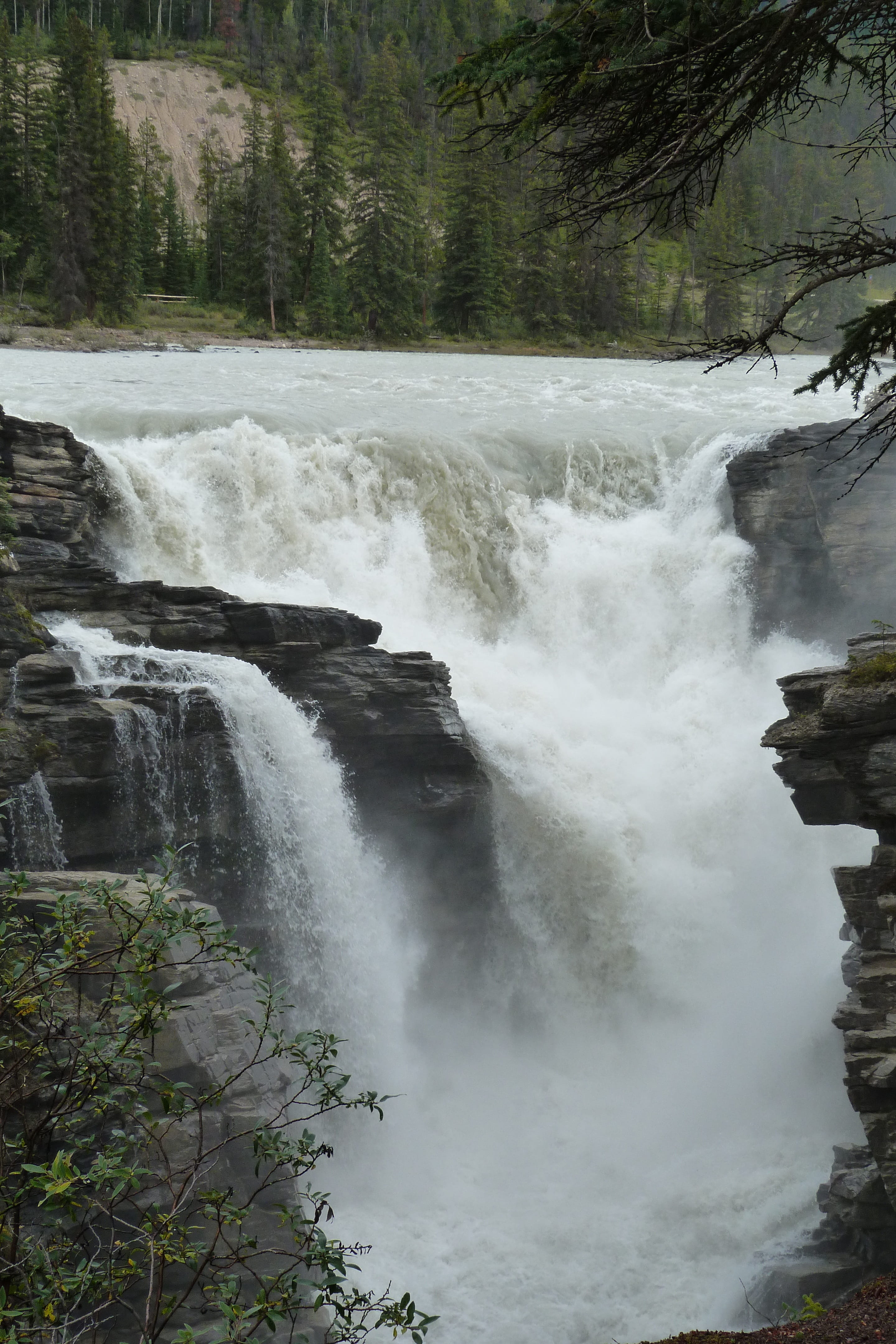 rockies, athabasca falls, waterfall, environment, beauty in nature, land, power, plant, nature, 4K, no people, flowing, falling water, long exposure, outdoors, Phone HD Wallpaper