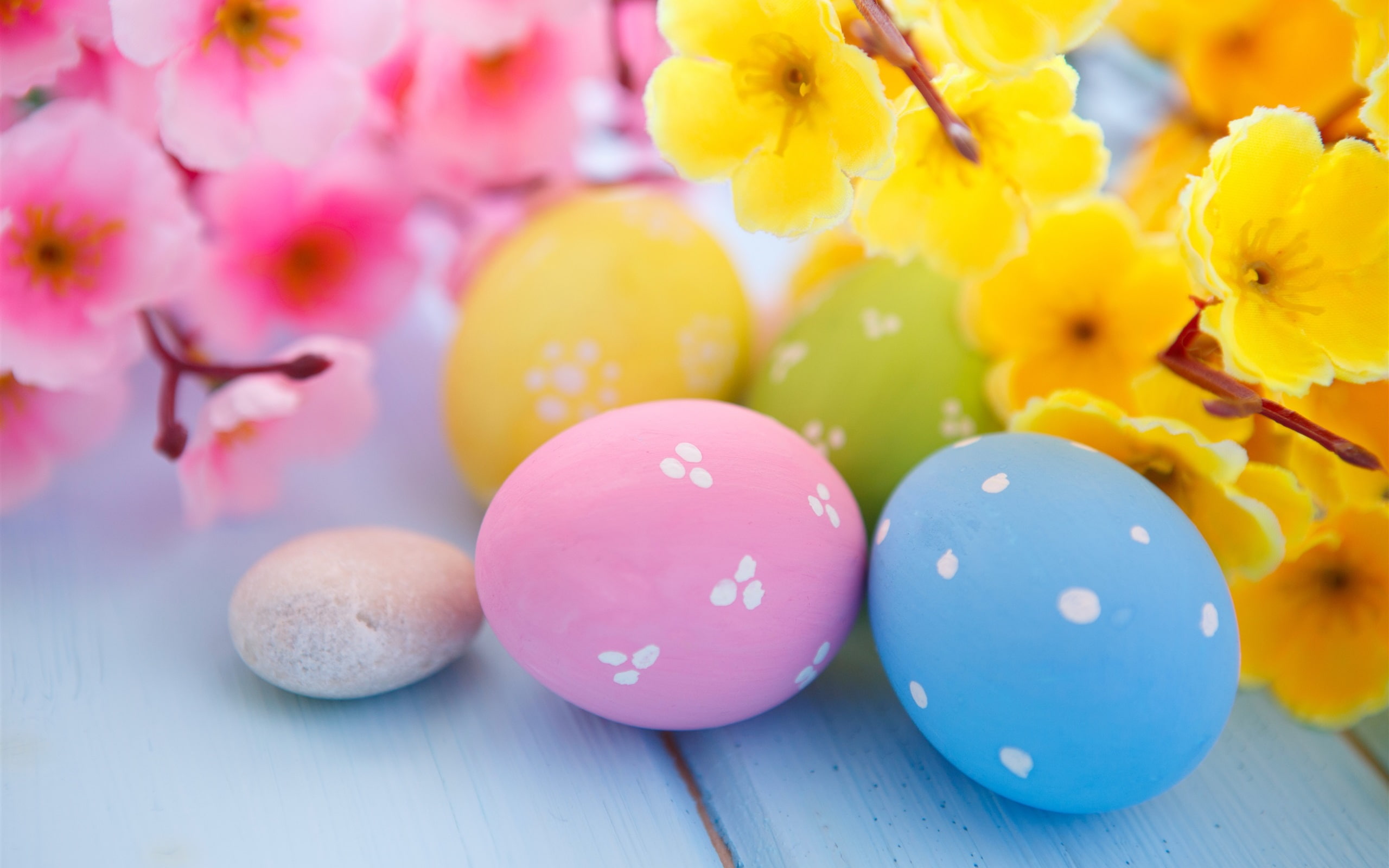 Easter, four, Flowers, 2K, Eggs, Spring, HD Wallpaper