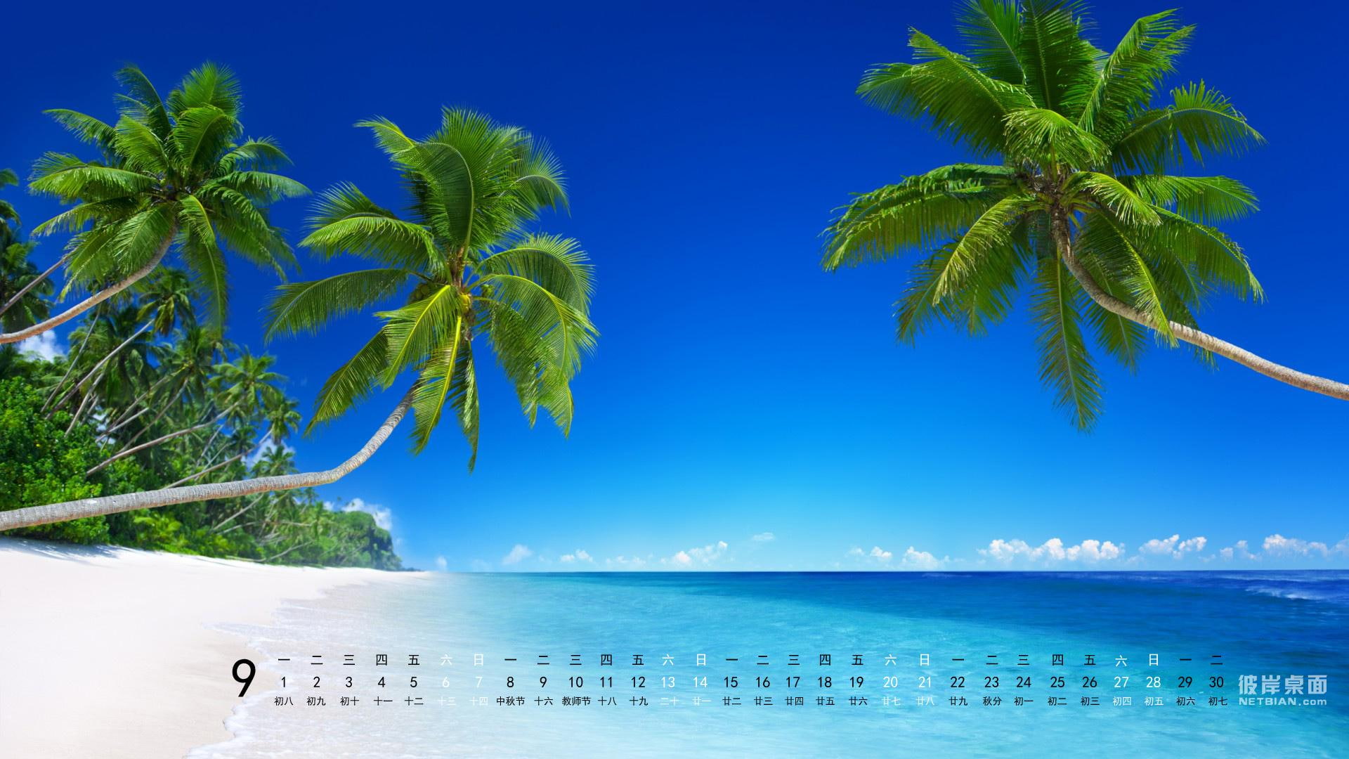 beach, side, september, sea, the other side of desktop in september 2014 calendar blue sea, green, calendar, desktop, palm, green palm, coast, 1080P, blue, HD Wallpaper
