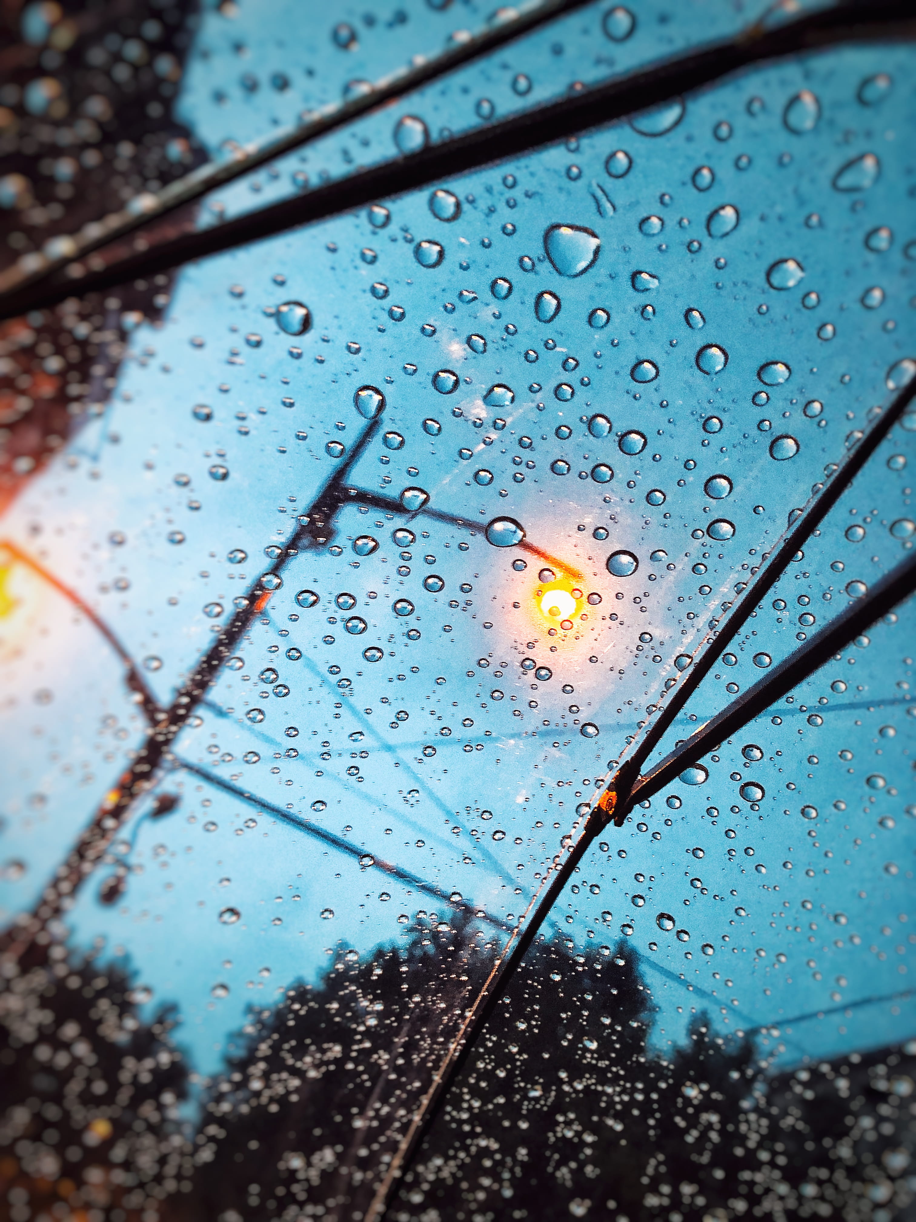 transparent, plant, rain, plant part, leaf, glass - material, rainy season, focus on foreground, dew, car, raindrop, close-up, water, nature, drop, no people, Phone HD Wallpaper
