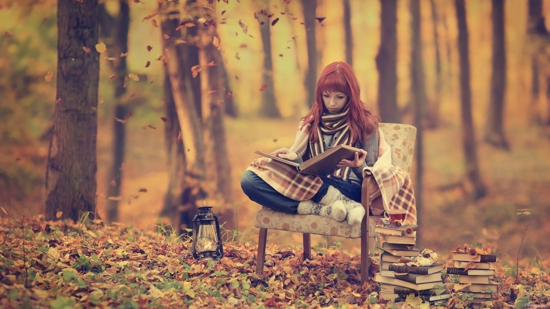 girls, people, chair, land, happiness, caucasian Ethnicity, yellow, reading, season, casual Clothing, adult, beauty In Nature, sitting, cute, s, seat, day, HD Wallpaper