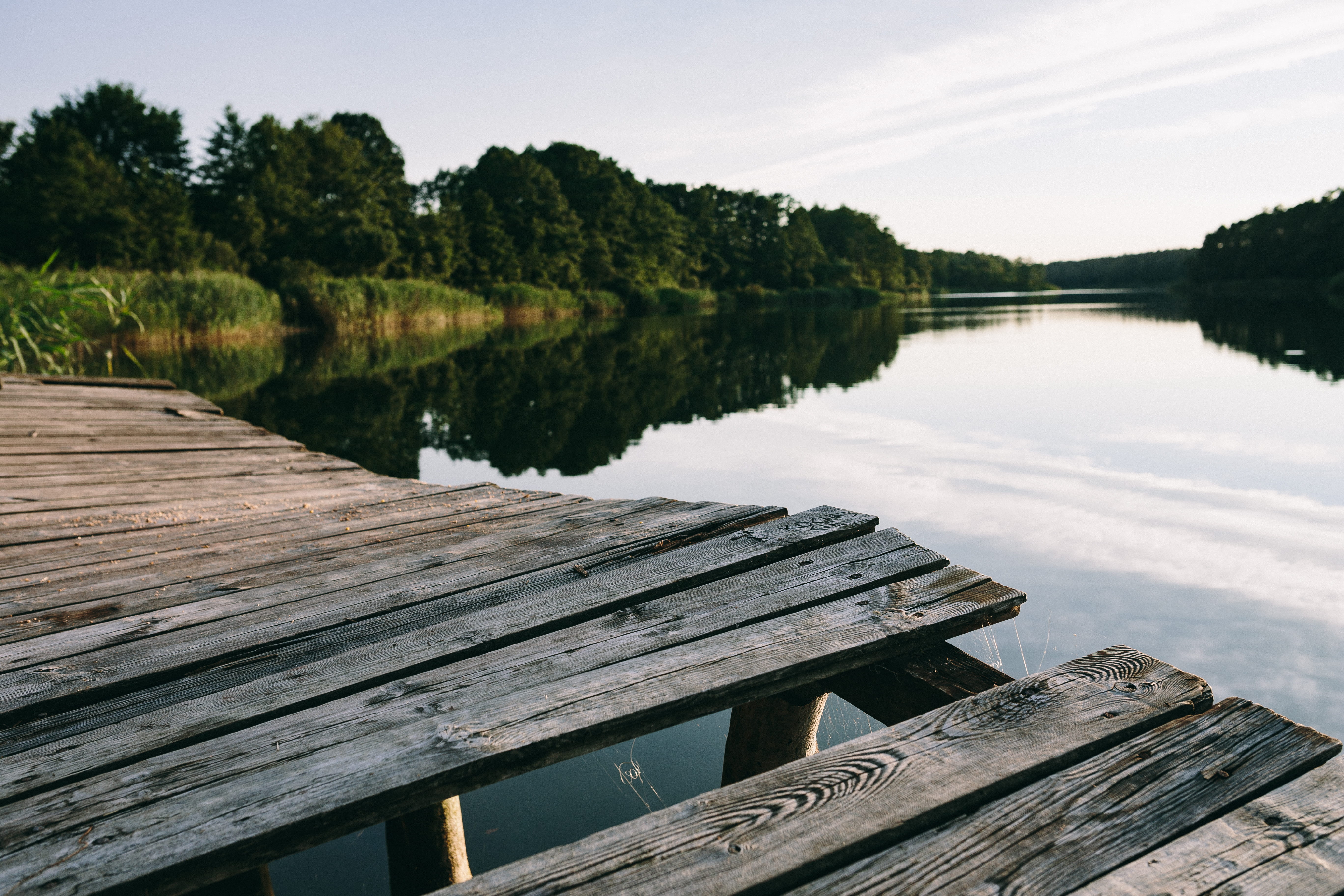 tranquil scene, tree, day, jetty, book, beauty in nature, magic hour, reading book, water, plant, wood paneling, reflection, sky, outdoors, tranquility, HD Wallpaper