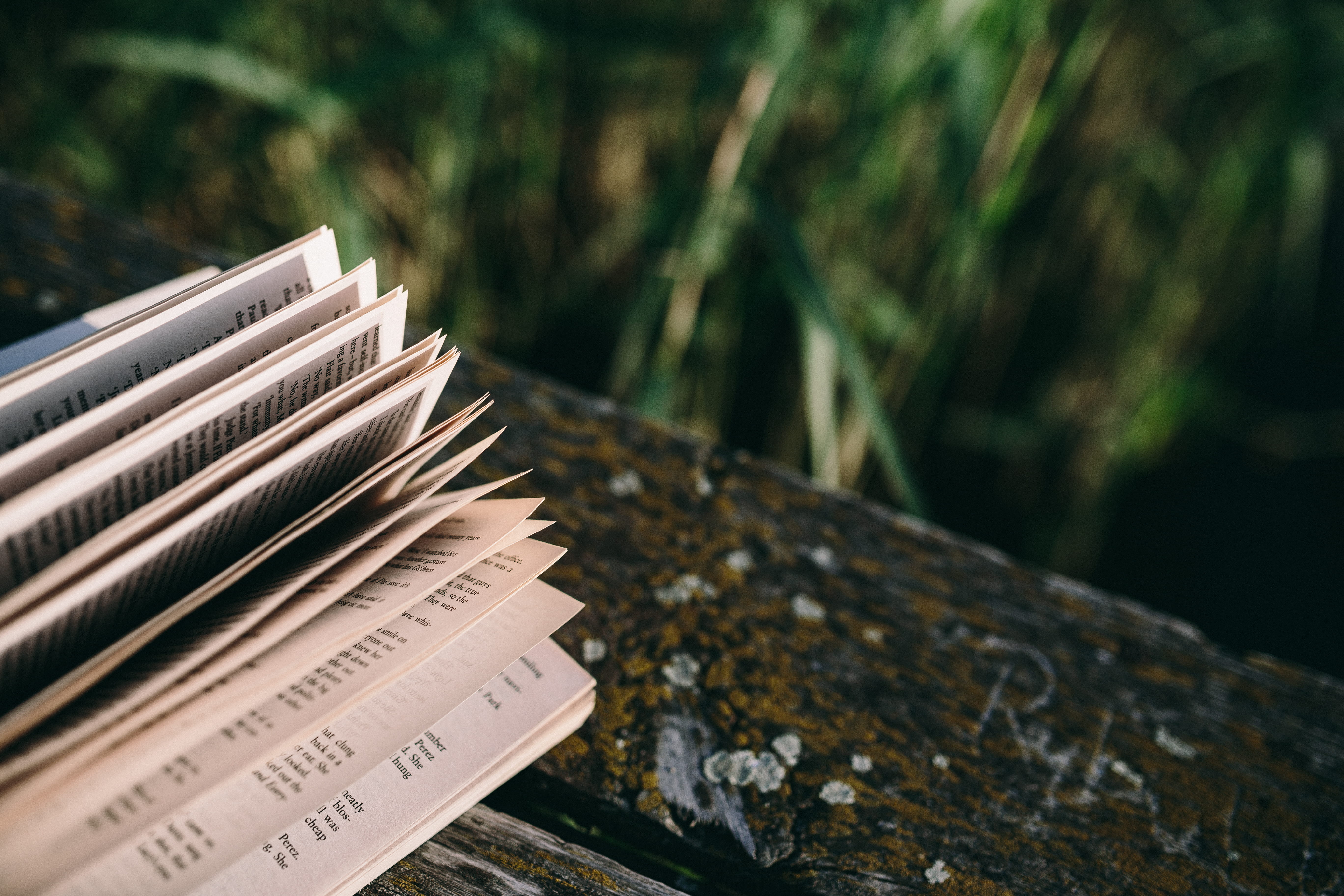 boy reading book, close-up, outdoors, wooden pier, man with book, western script, 5K, plant, text, woman with book, still life, old pier, lake, communication, HD Wallpaper