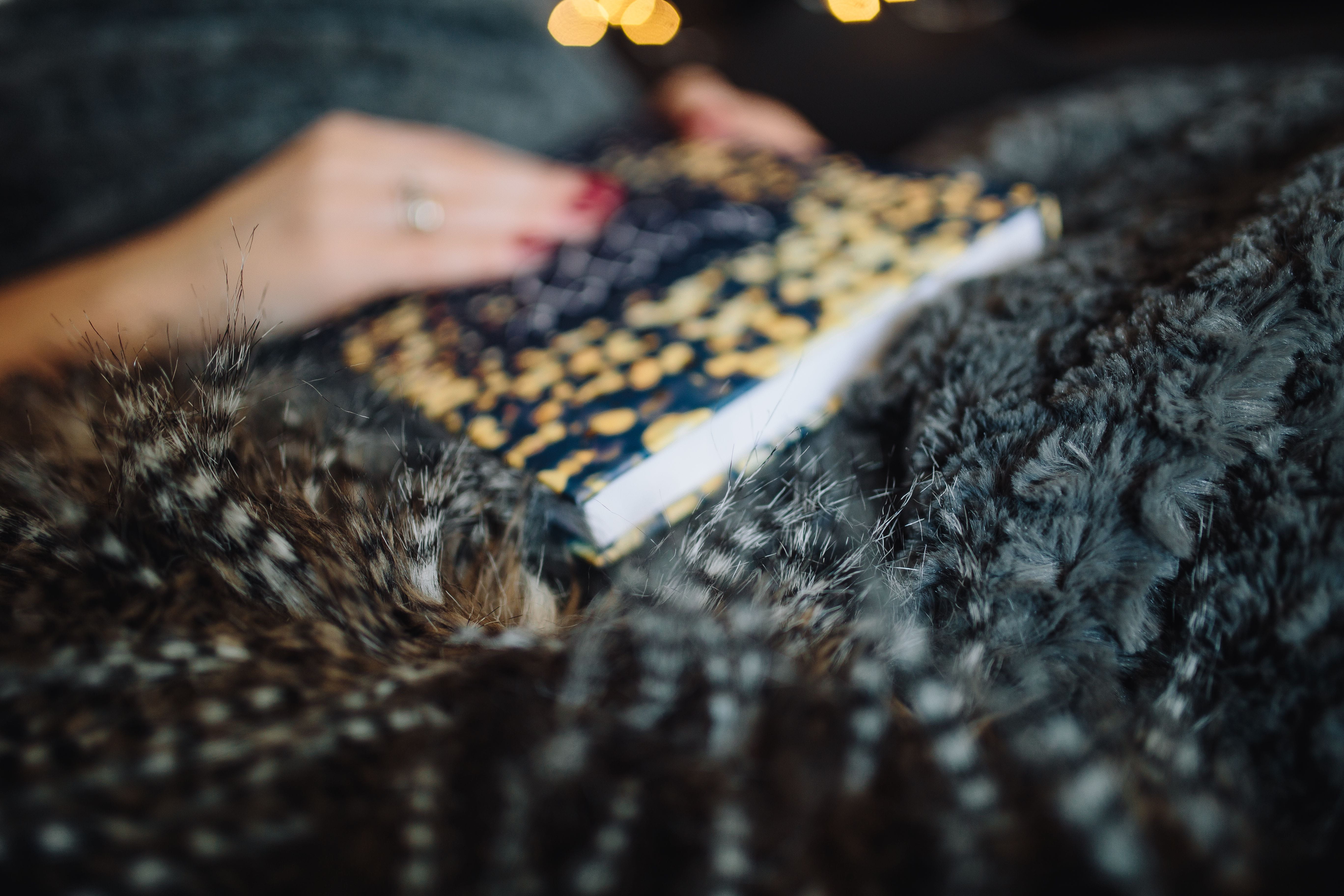 body part, cozy, human hand, young, close-up, Hygge, unrecognizable person, at home, cosy, selective focus, 5K, finger, book, reading, one animal, drinking, HD Wallpaper