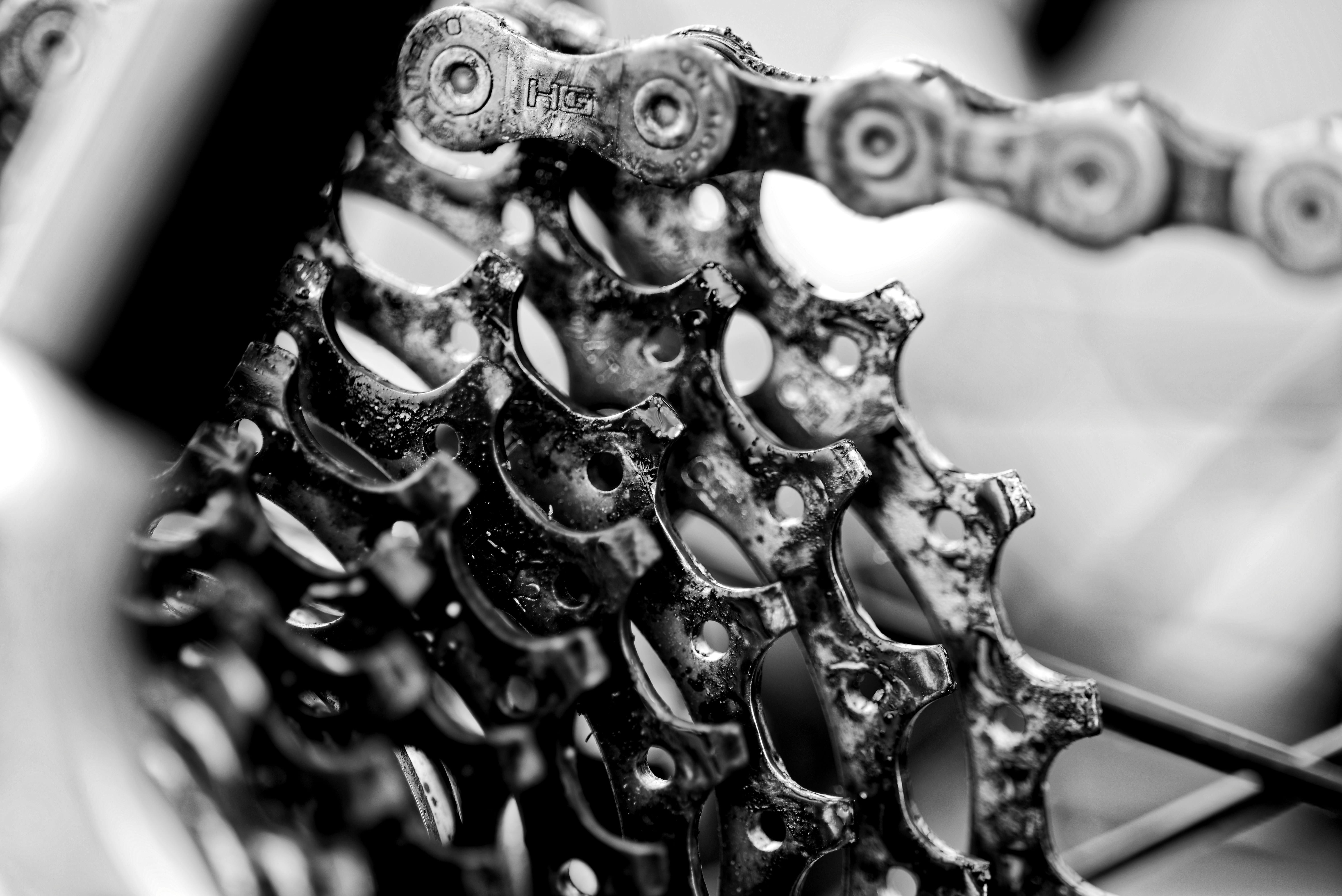 food, day, representation, gears, photo, sprocket, nature, photography, chain, art and craft, close-up, focus on foreground, pattern, animal representation, HD Wallpaper