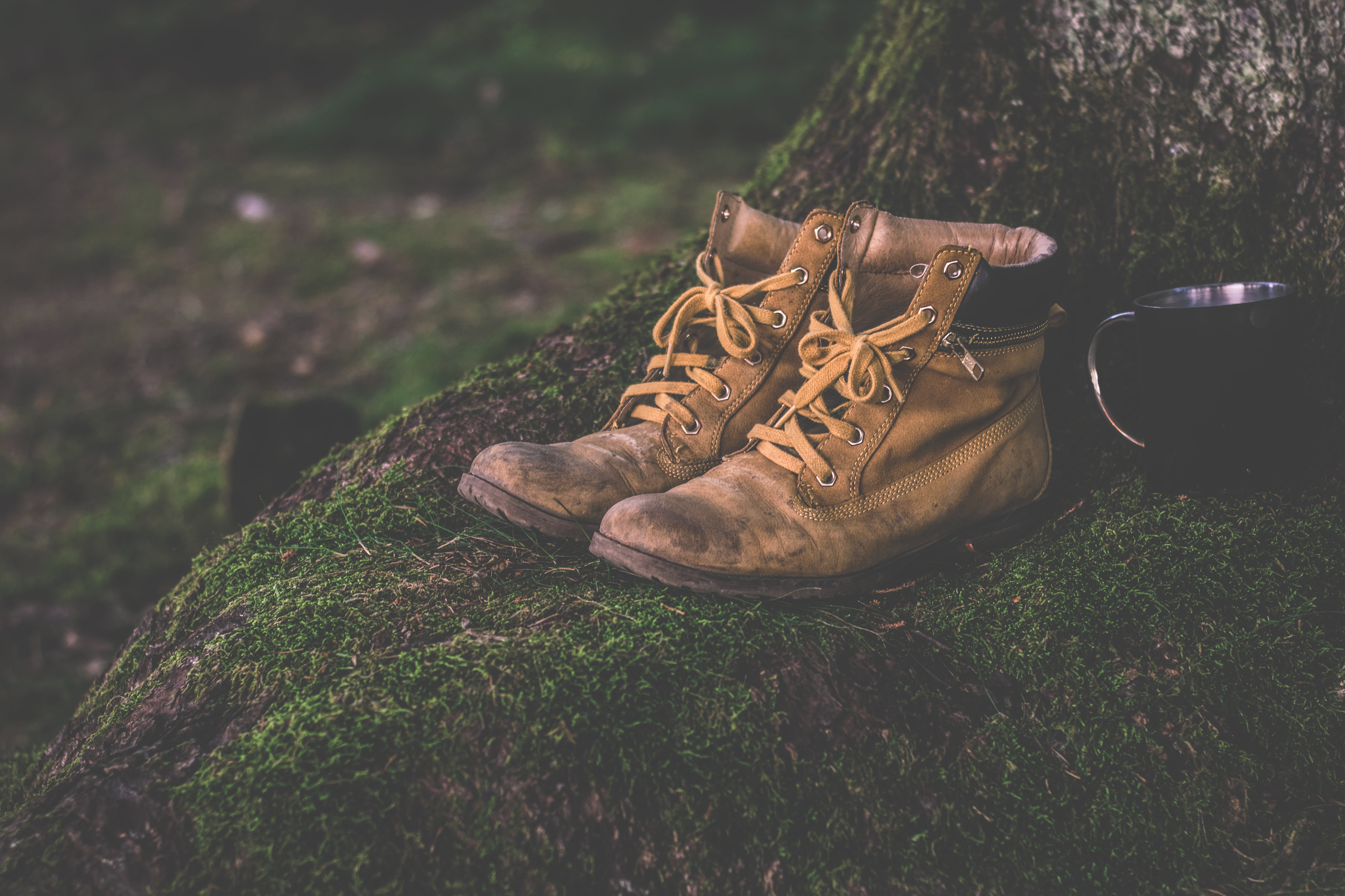 shoelace, day, pair, sunlight, hiking, plant, close-up, green color, boots, growth, sport, outdoors, moss, boot, focus on foreground, selective focus, low section, HD Wallpaper