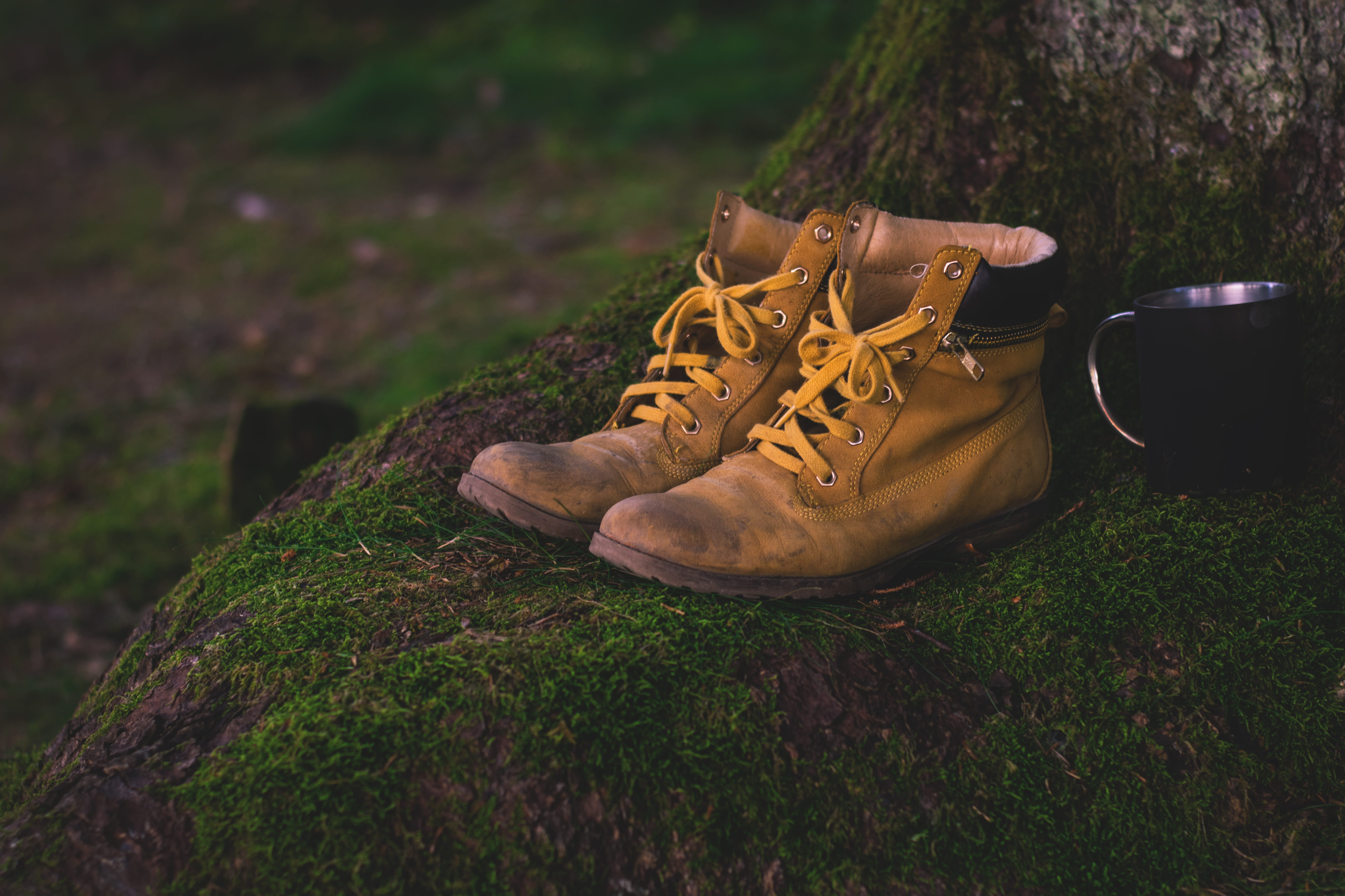 plant, compatibility, timberland, mountain hiking, solid, personal accessory, leather, shoelace, rest pause, land, forest, brown, old, day, tree, boots, HD Wallpaper