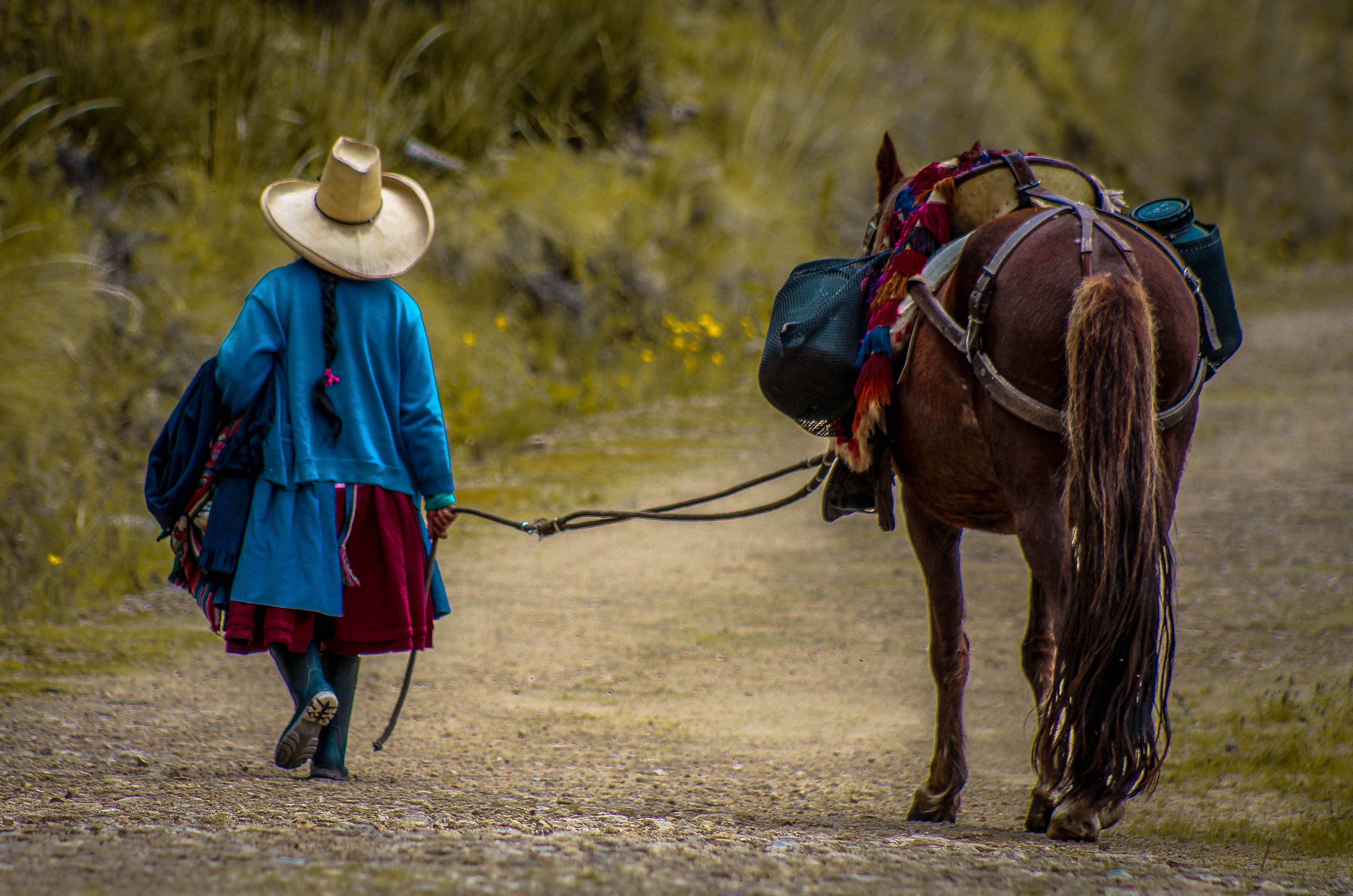 human, mammal, woman, outdoors, cajamarca, clothing, footwear, brown, nature, spoke, one animal, sun hat, machine, land, animal wildlife, animal, person, HD Wallpaper