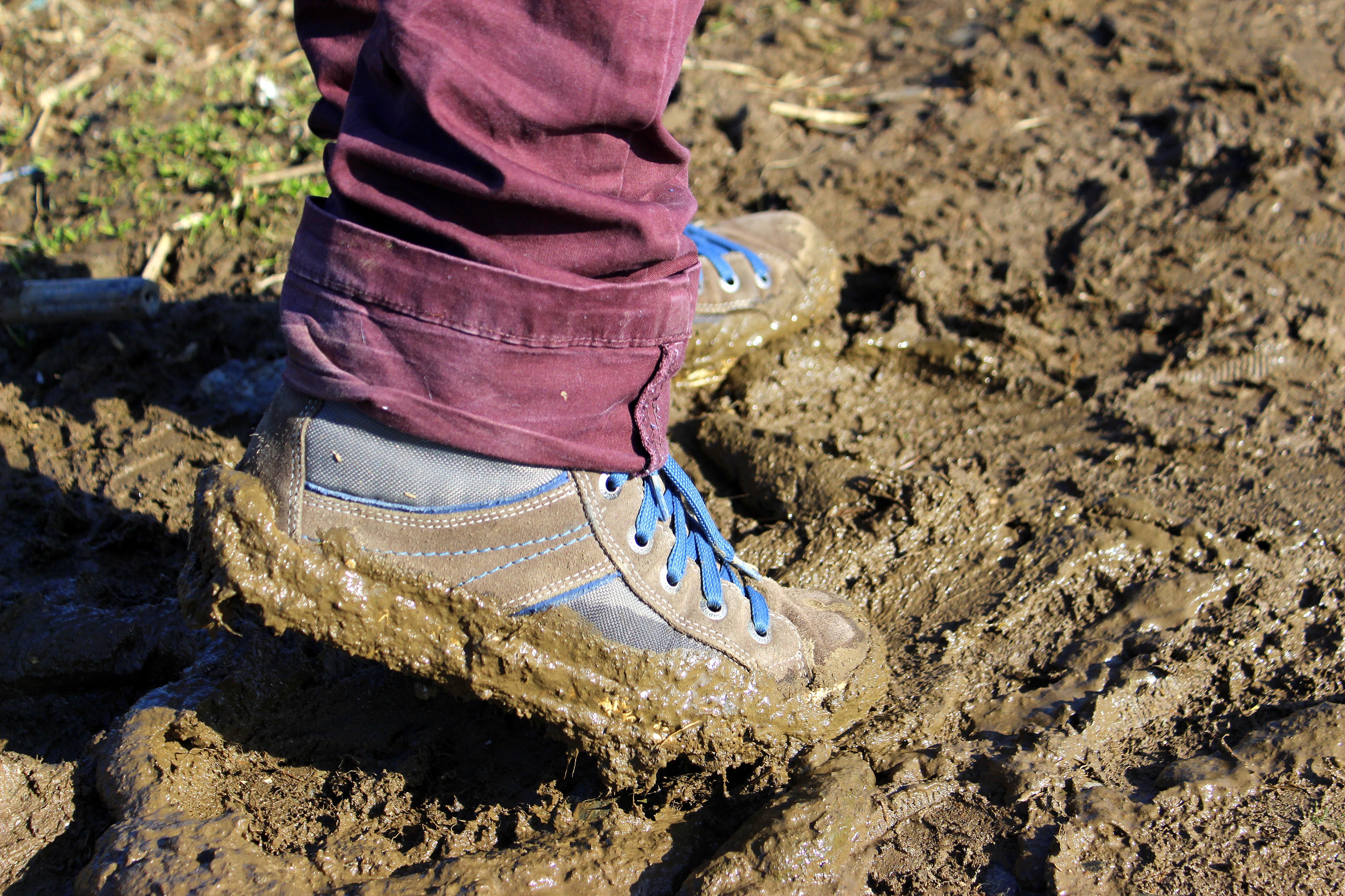blue, ground, hiking, nature, 5K, traces, human foot, sand, outdoors, body part, human limb, wearing, earth, day, shoes, standing, high angle view, go, HD Wallpaper