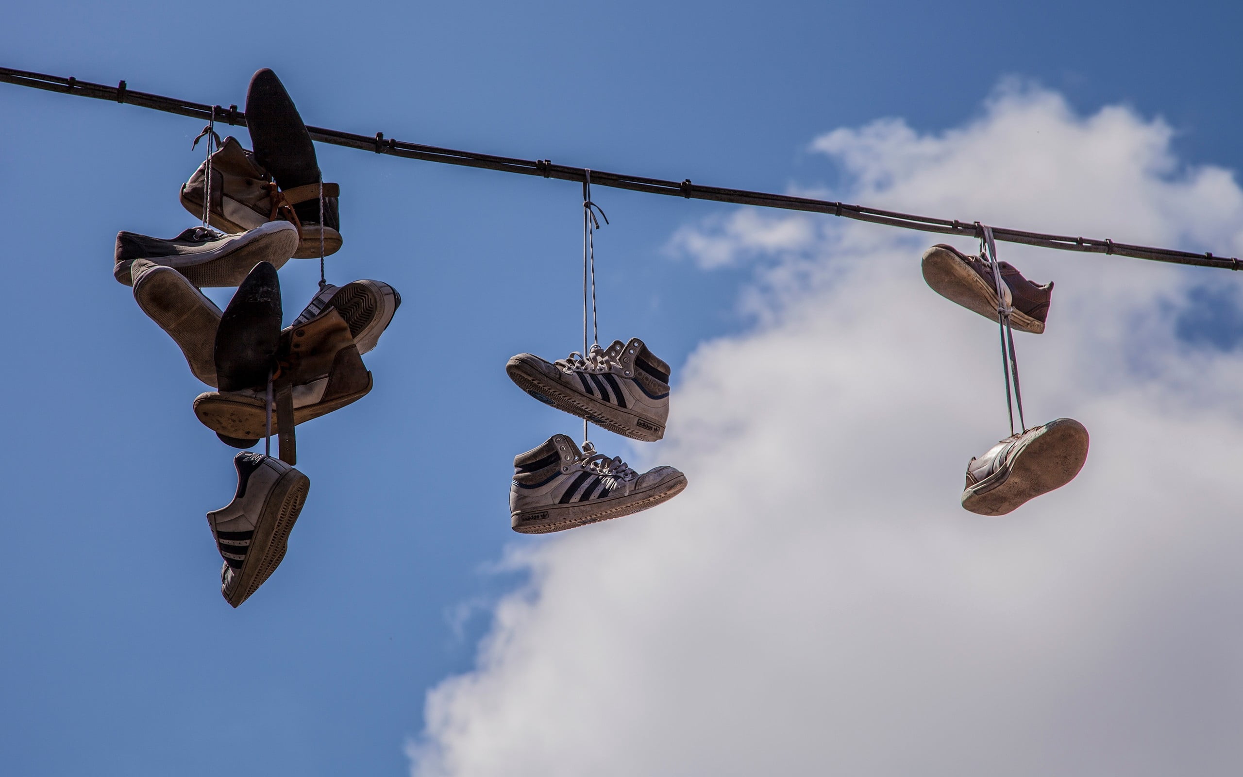 animal, animal representation, no people, pairs, color, sneakers, low angle view, hanging, rope, nature, day, assorted, blue, shoes, clouds, outdoors, directly below, HD Wallpaper