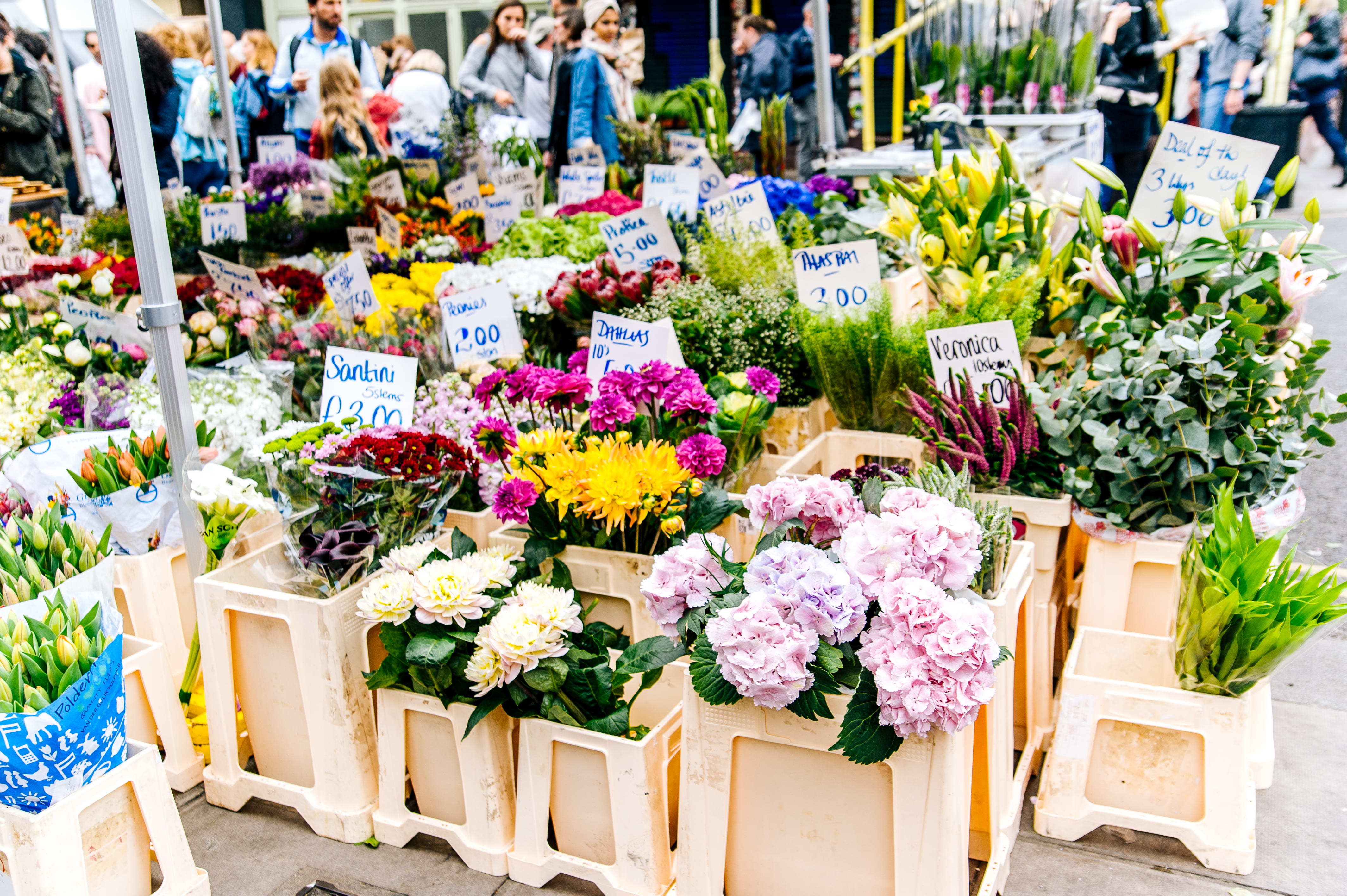 celebration, for sale, outdoors, vulnerability, rack, bouquet, decoration, stock, florist, petals, flower head, flower market, freshness, wooden, shopping, HD Wallpaper