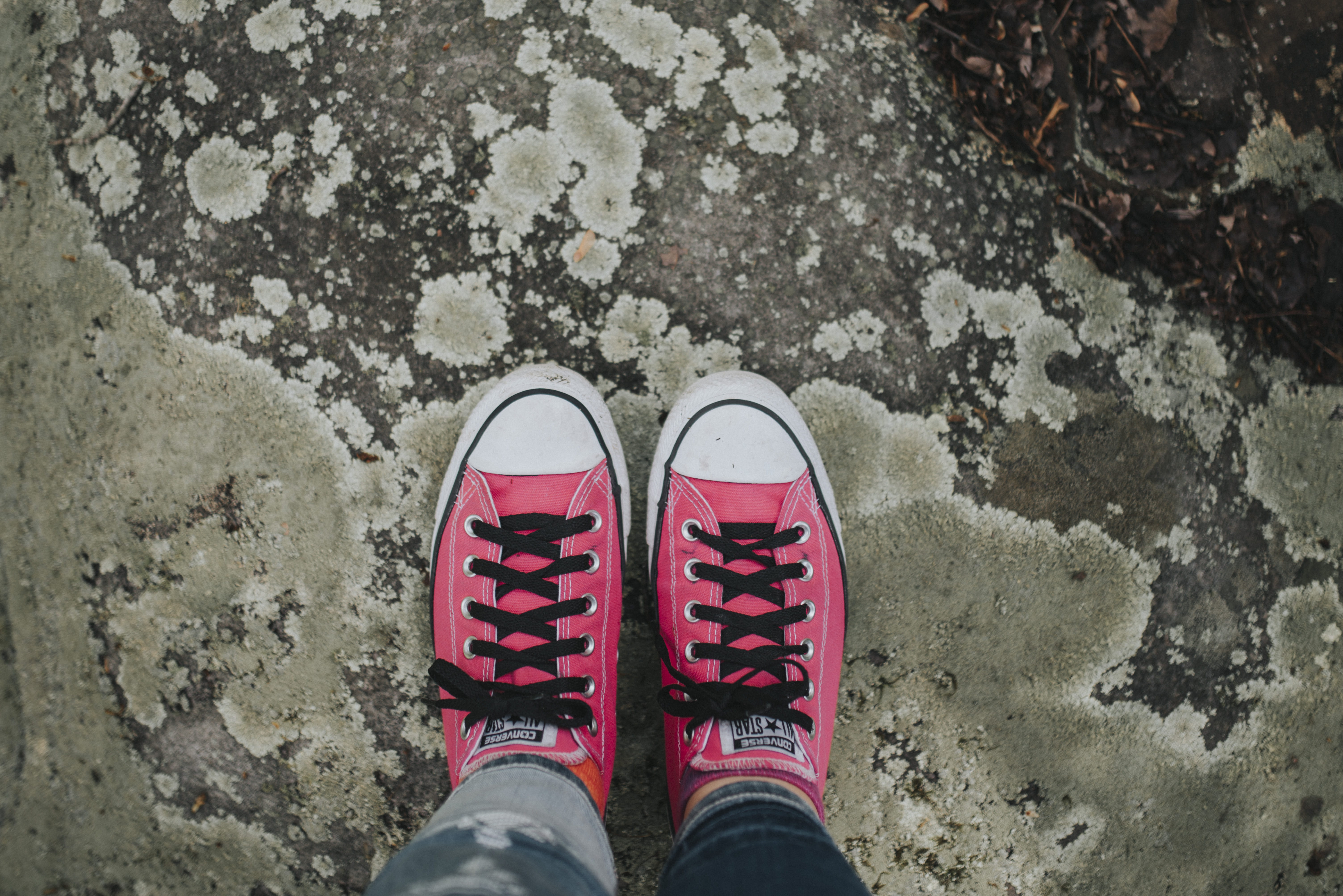 day, pair, footwear, sport, body part, standing, human limb, unrecognizable person, walking, men, top, sports Shoe, converse, white, directly above, star, HD Wallpaper