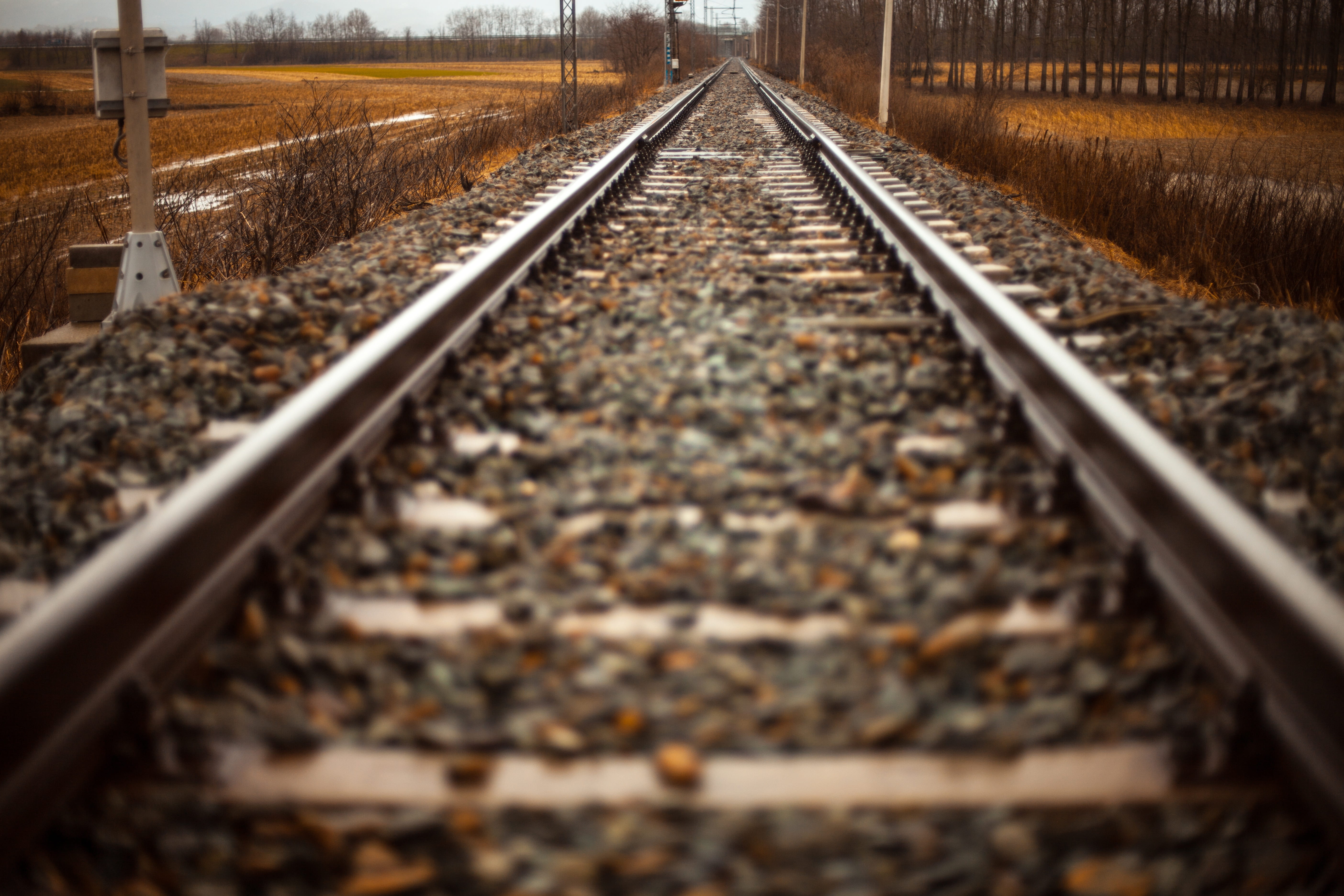 railway tracks, selective focus, parallel, black, diminishing perspective, long, the way forward, nature, direction, mode of transportation, track, rails, HD Wallpaper