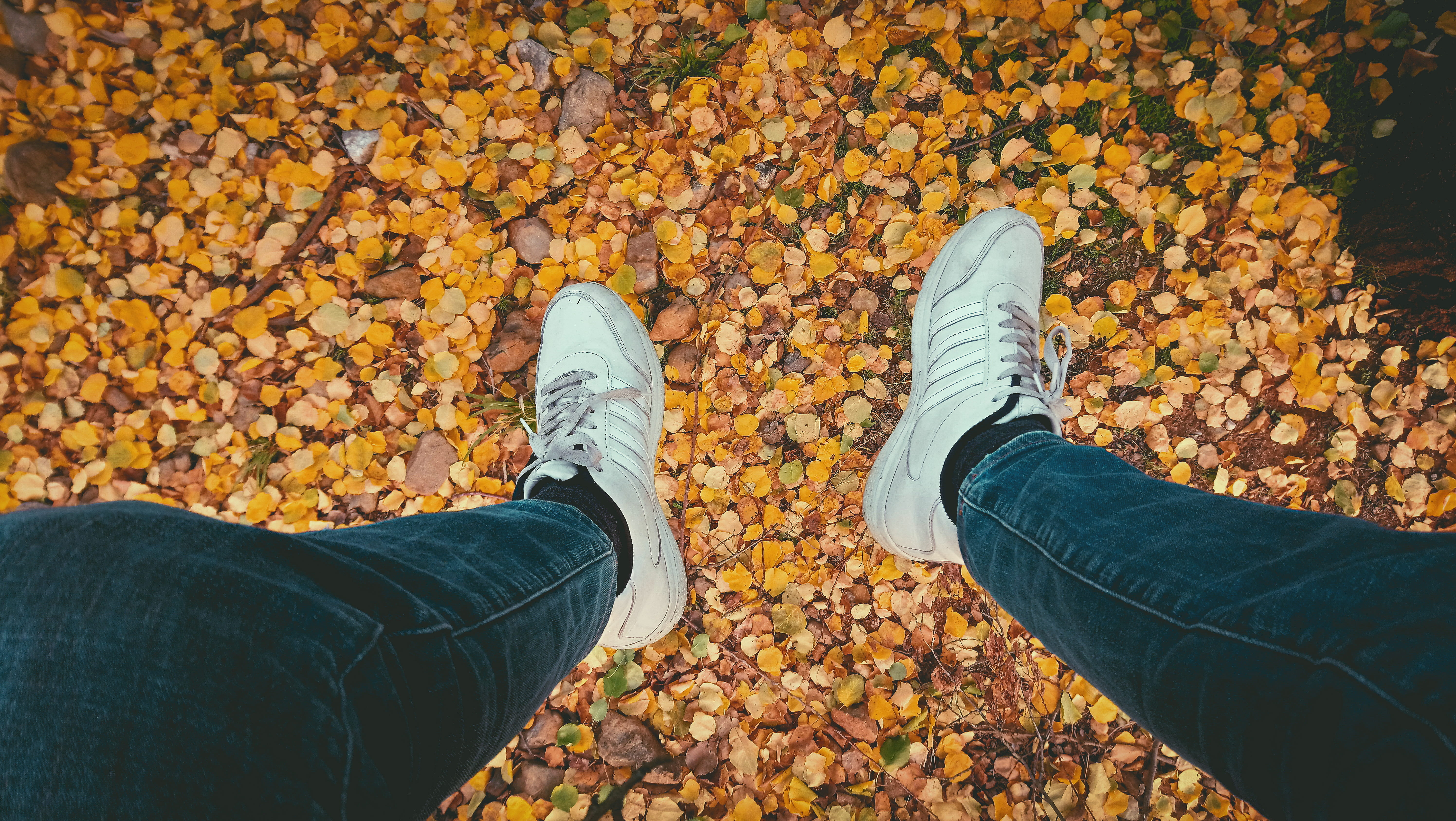nature, shoe, leaves, low section, human body part, pair, leaf, fall, blue, body part, blue jeans, person, 5K, real people, white, fashion, shoes, s, daylight, HD Wallpaper