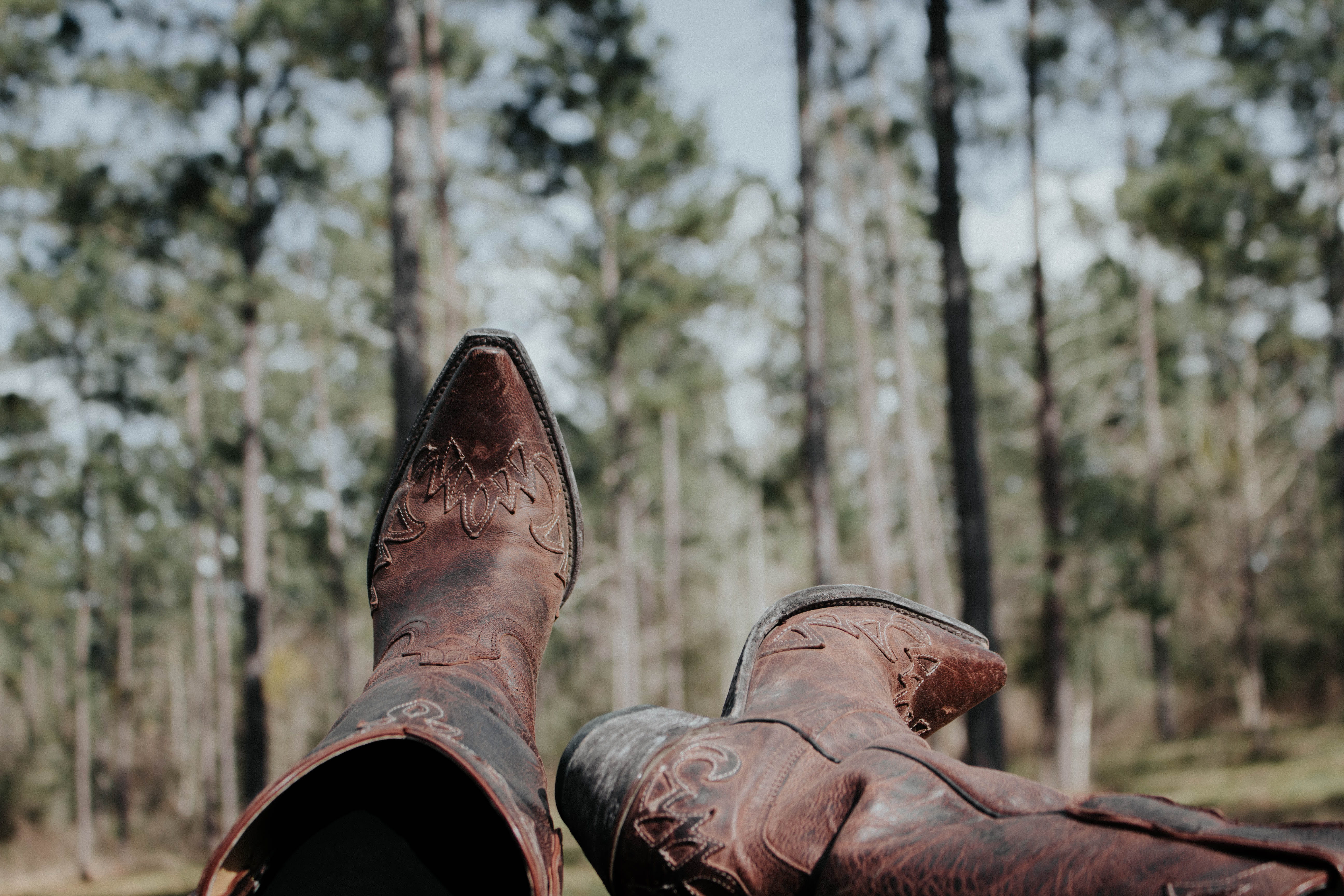 woodland, focus on foreground, leisure activity, human foot, lifestyles, shoe, one person, forest, style, plant, cowboy, focus, boots, boot, body part, HD Wallpaper