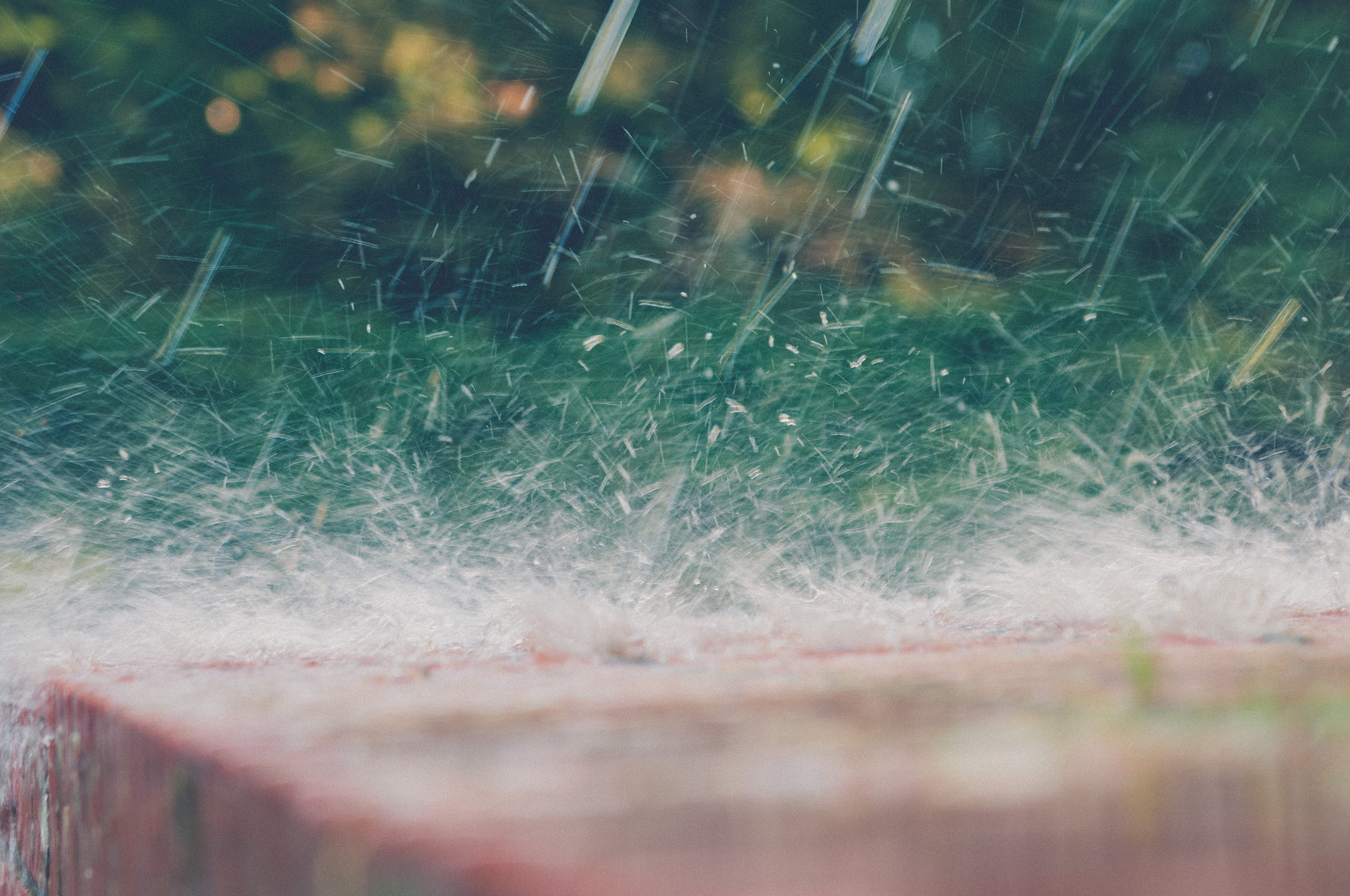 selective focus, field, day, nature, full frame, 4K, no people, outdoors, motion, vulnerability, fragility, growth, splash, beauty in nature, softness, HD Wallpaper